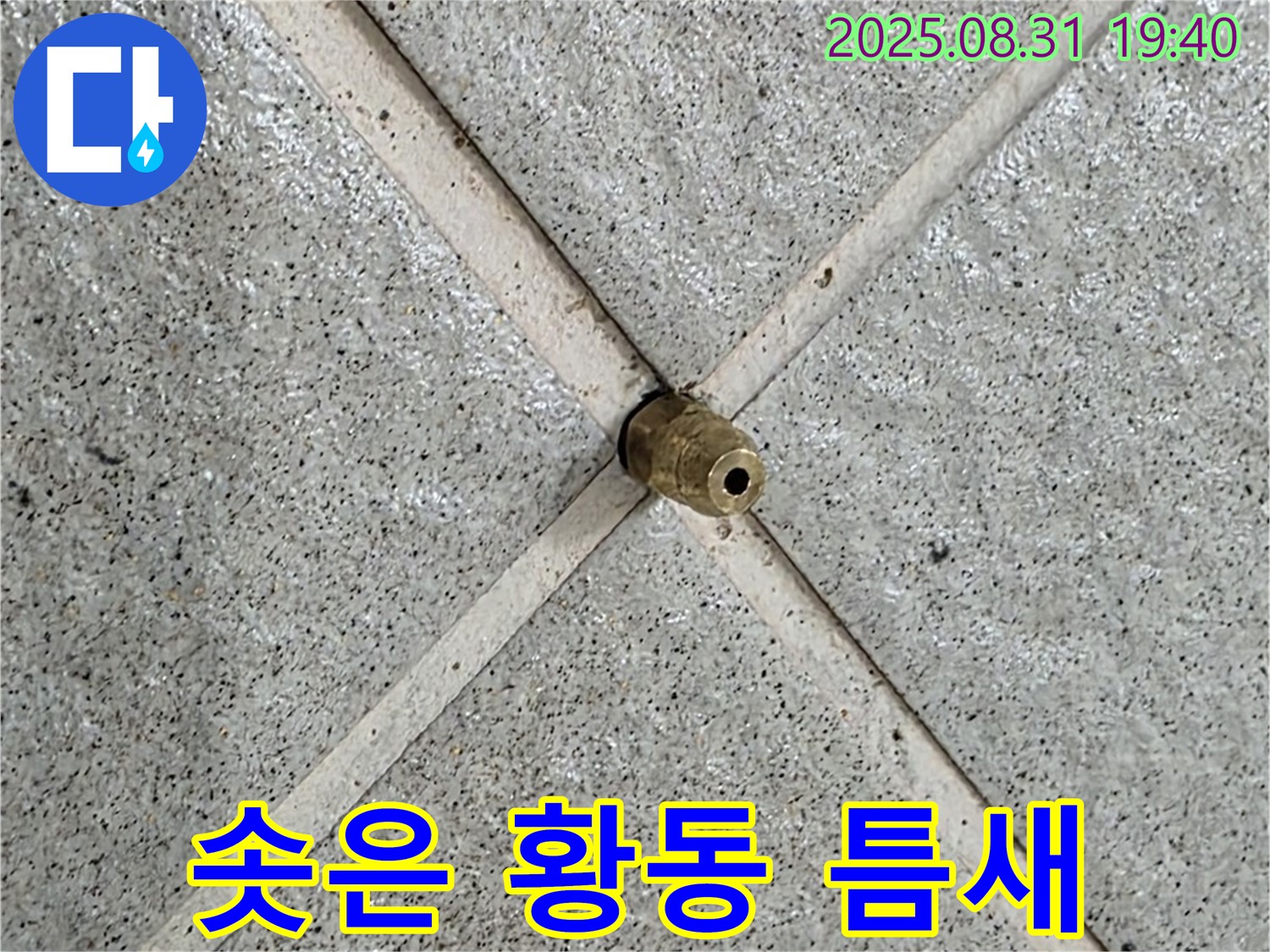 타일 틈새 솟은 황동 부속 - 틈새로 스며드는 물, 큰 문제로 이어질 수 있습니다!