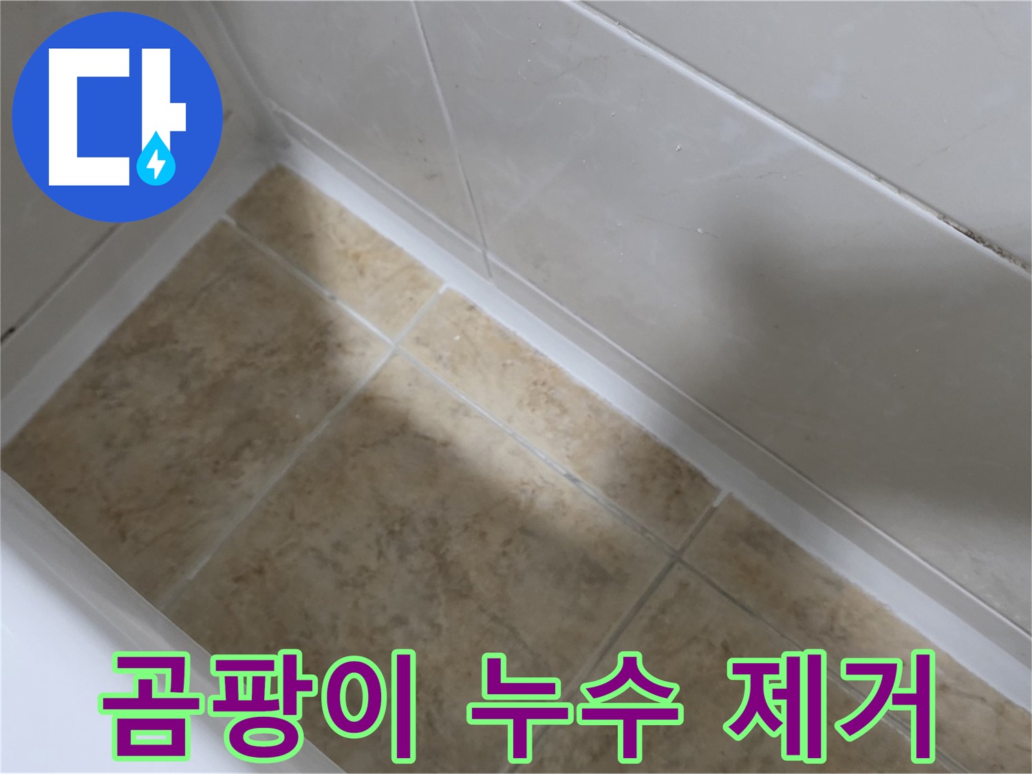 곰팡이 누수 제거 - 곰팡이와 함께 누수를 완벽하게 제거합니다.