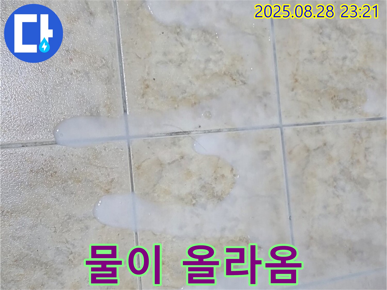 물이 올라오는 백시멘트 - 중랑구 묵동 아파트 욕실에서 밟을 때마다 물이 올라오는 백시멘트 - 심각한 누수 진행을 의심해야 합니다.