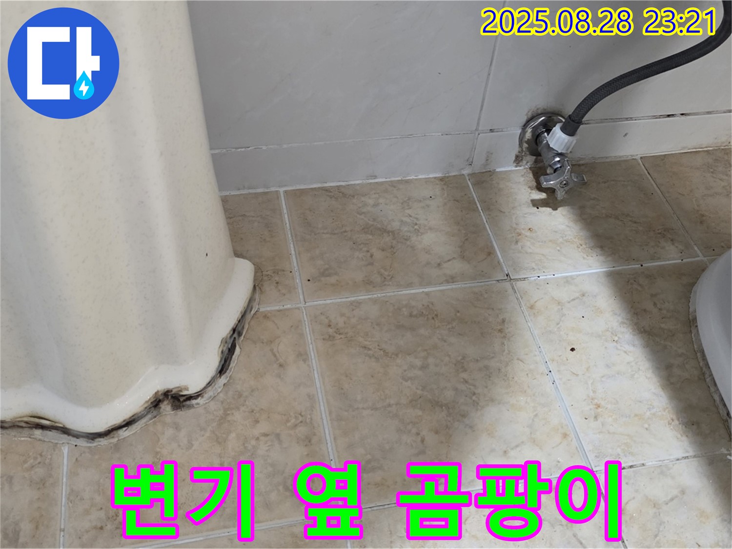 변기 옆 타일 틈새 곰팡이 누수 - 전문 장비와 기술로 정확하게 진단하고 확실하게 해결합니다.