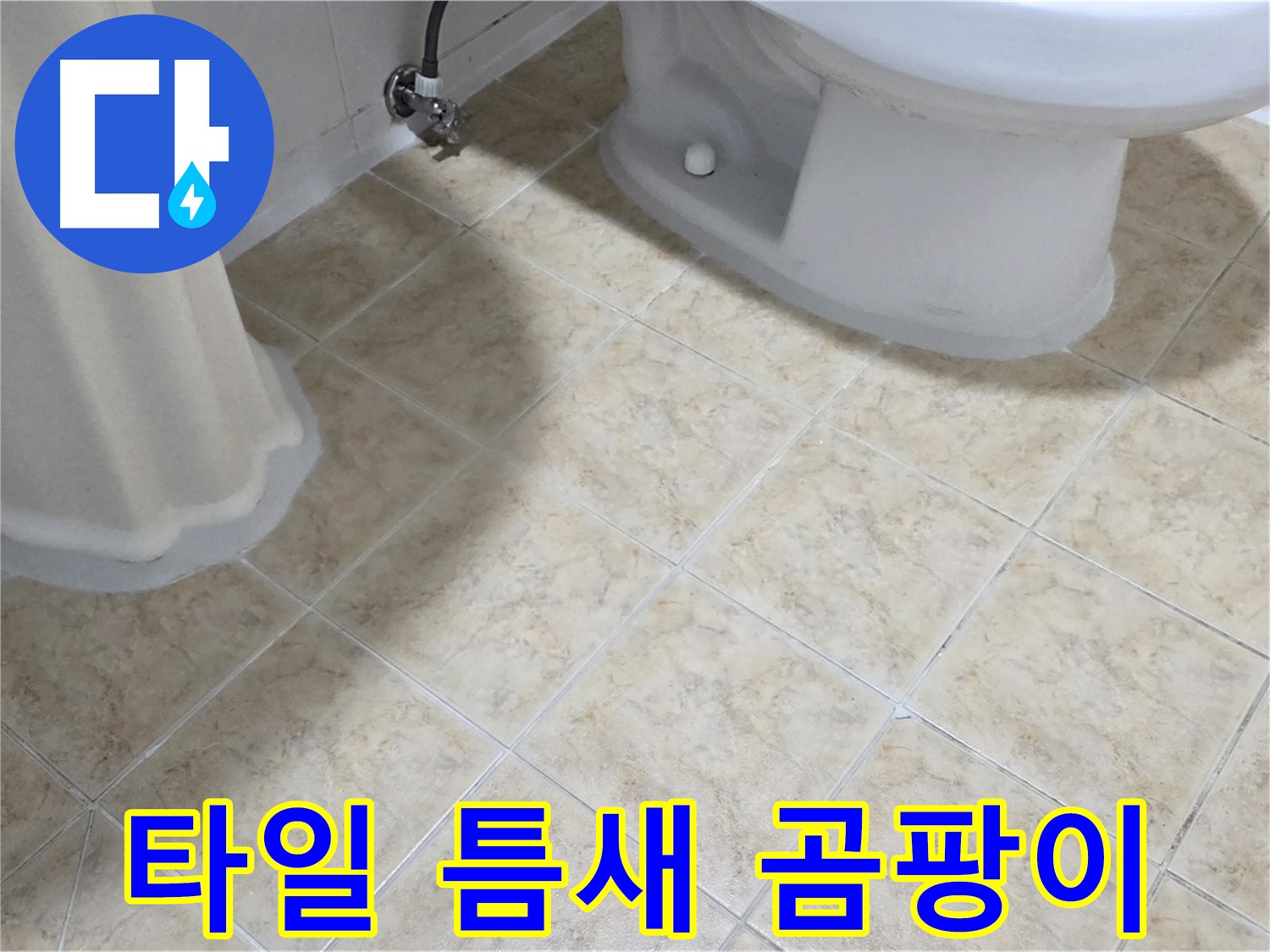 변기 옆 타일 틈새 곰팡이 - 소변 누수 의심
