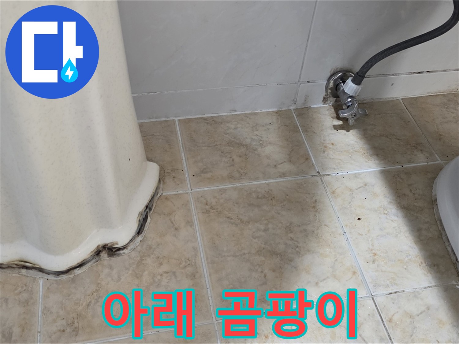 세면대 아래 곰팡이 - 건강을 위해 없애야 할 존재 - 곰팡이 제거 필수