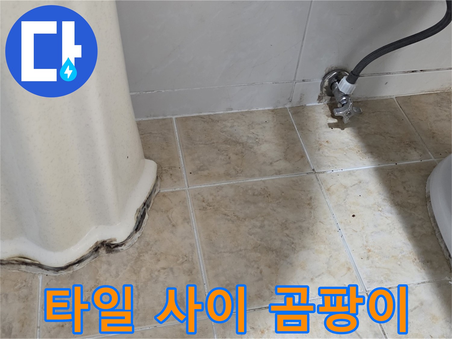 세면대 아래 타일 사이 곰팡이 - 세면대 아래 타일 사이에 검은 곰팡이가 핀 모습입니다 - 누수를 의심해야 합니다.
