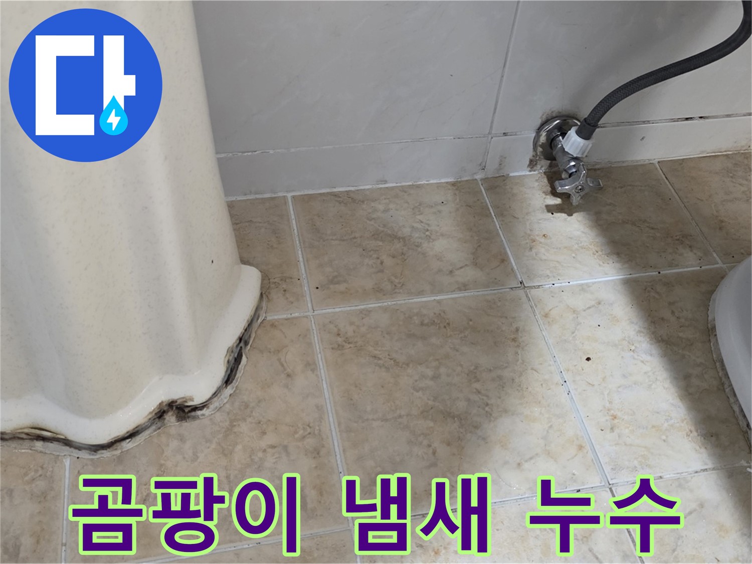 세면대 주변 곰팡이 냄새 - 냄새, 더 이상 숨기지 마세요 - 냄새 제거 전문가