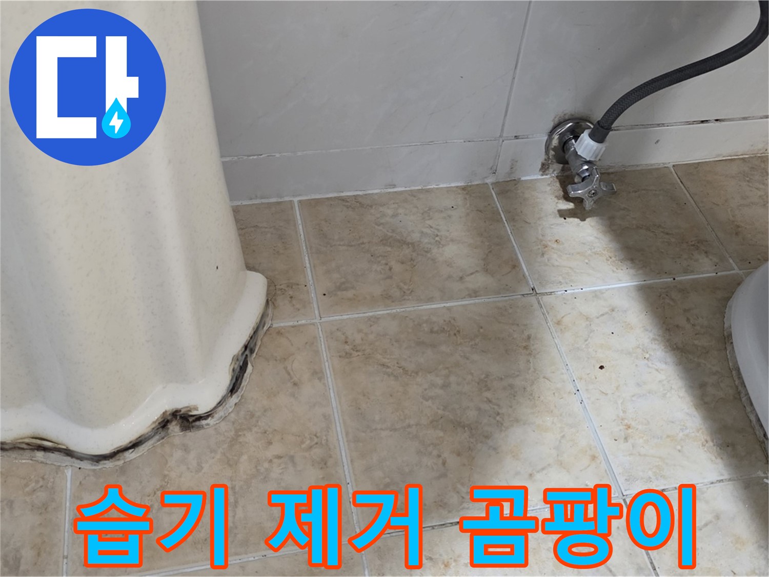 세면대 주변 습기 제거 - 곰팡이 예방 - 환기 중요