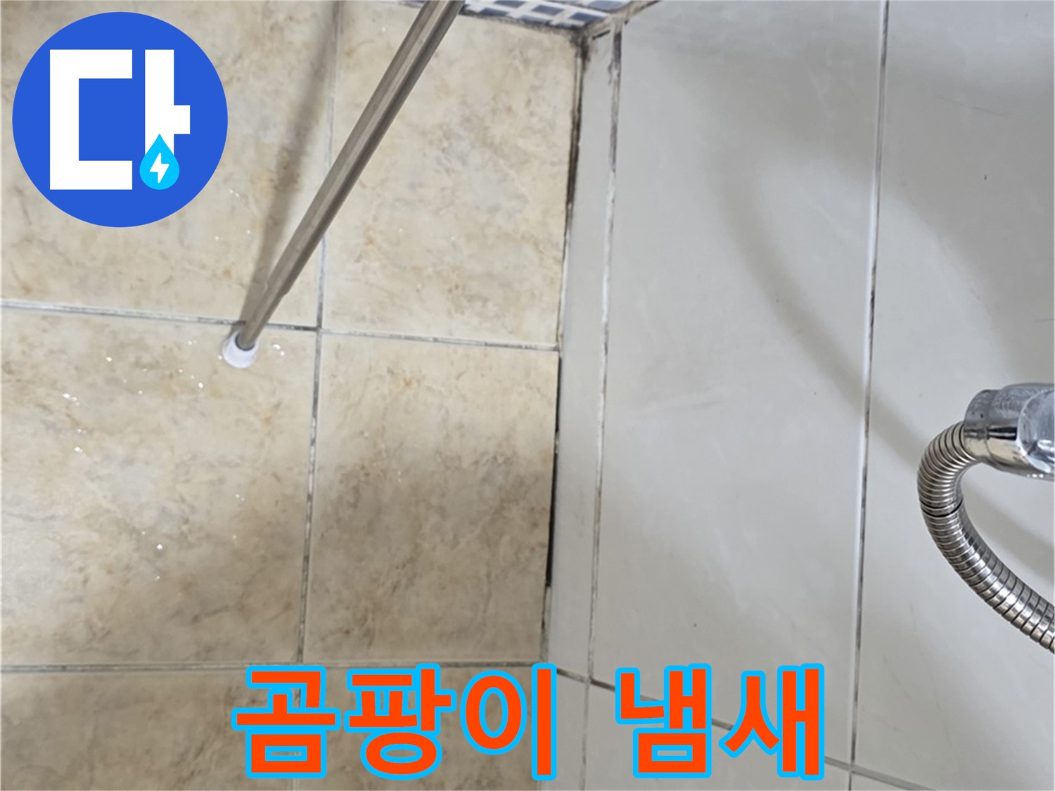 욕실 곰팡이 냄새 - 곰팡이 제거 후 - 냄새 지속 - 누수 의심