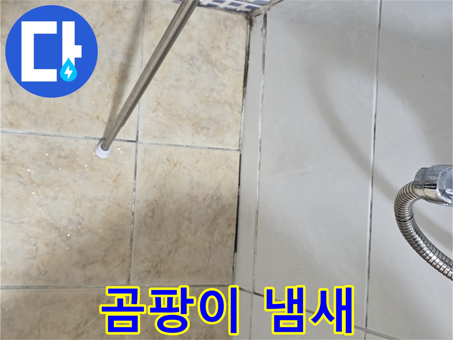 욕실 곰팡이 냄새 - 환기 안됨 - 누수 가능성