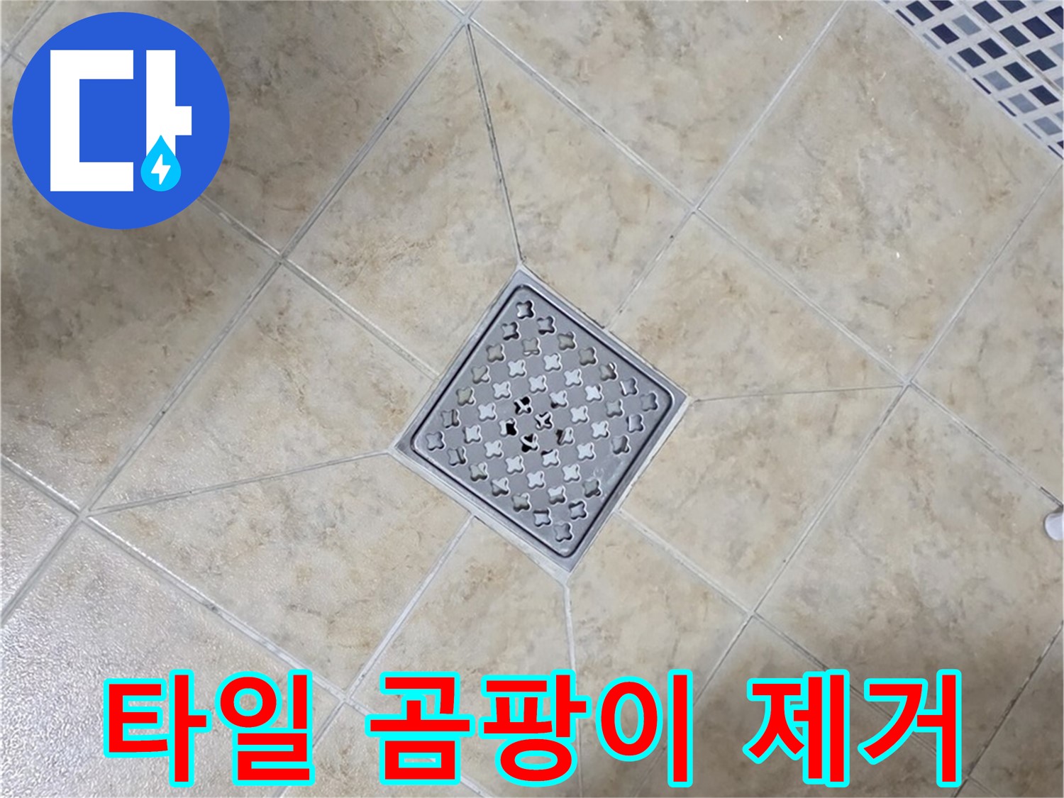 타일 곰팡이 - 바이오 실리콘 시공