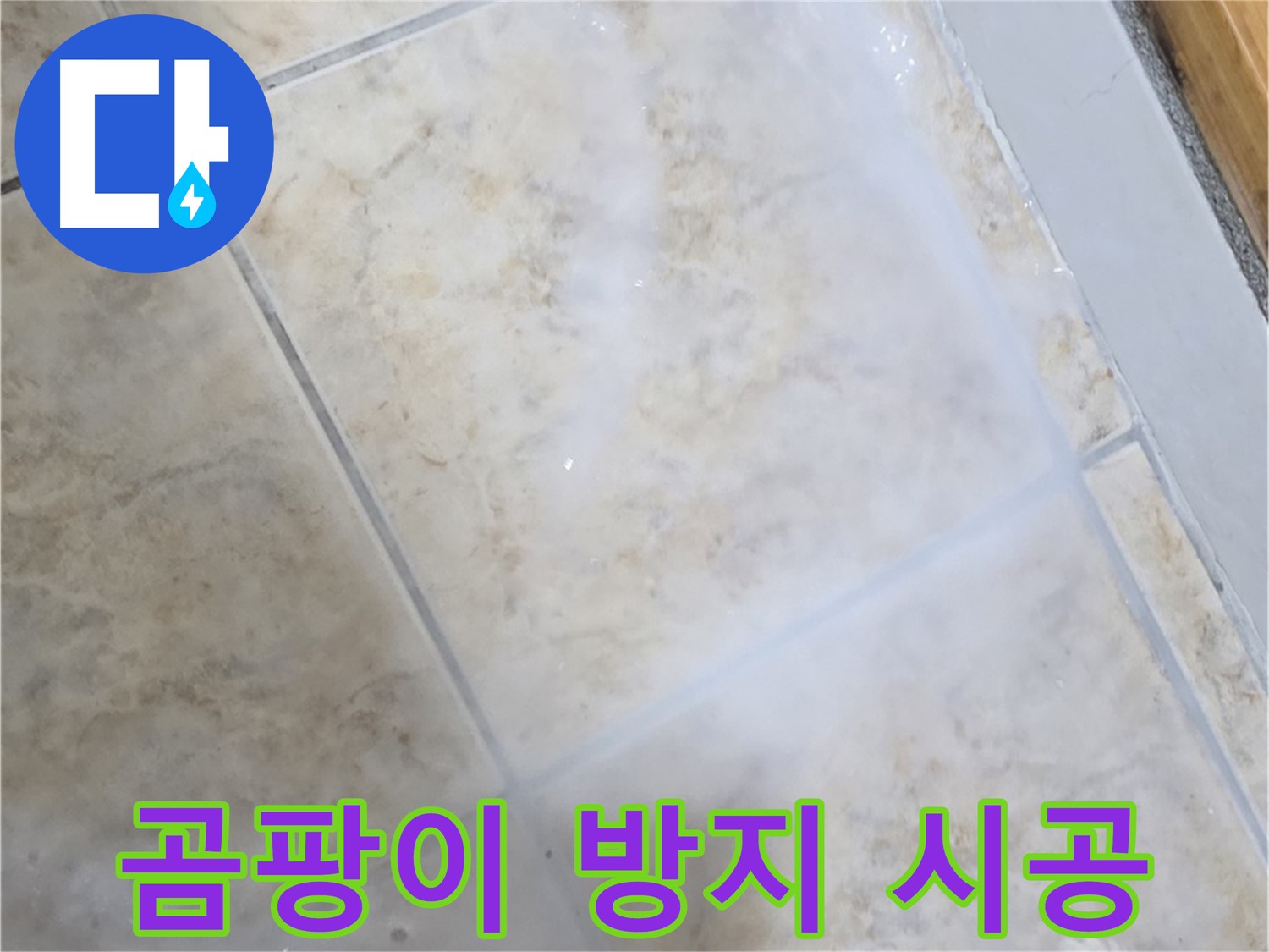 타일 누수 해결 - 곰팡이 방지 프리미엄 시공 - 완벽하게!