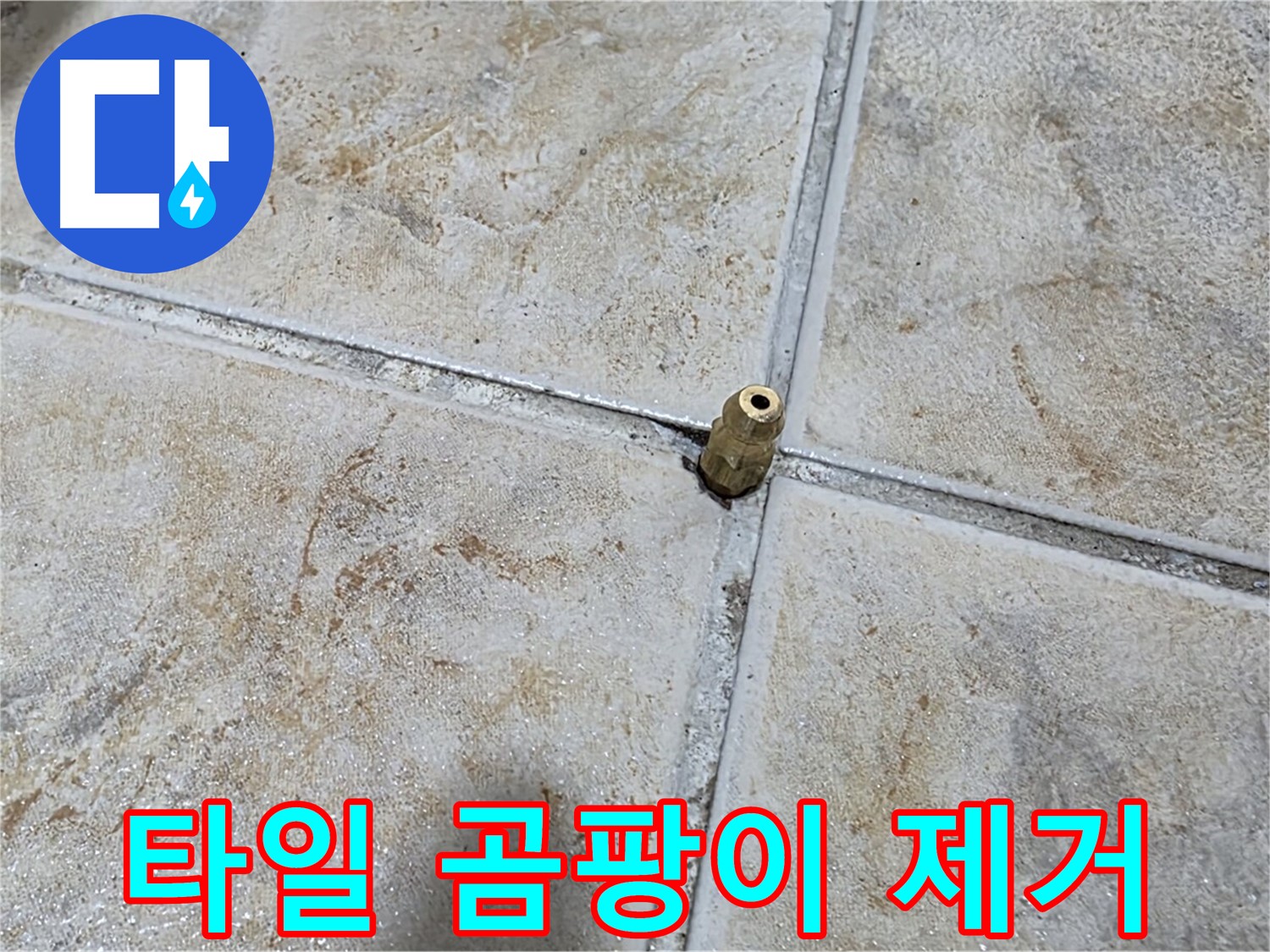 타일 틈새 곰팡이 - 곰팡이 제거와 완벽 방수 시공