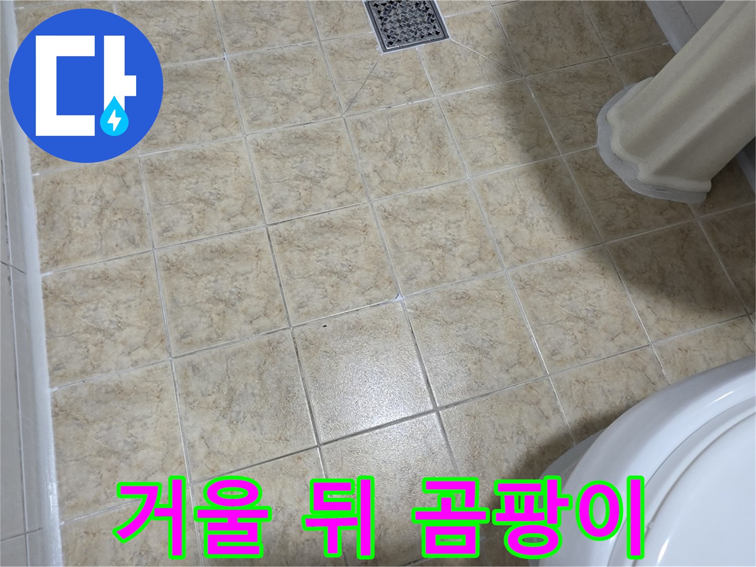 화장실 거울 뒤 곰팡이 - 환기 부족! 곰팡이 제거 필수!