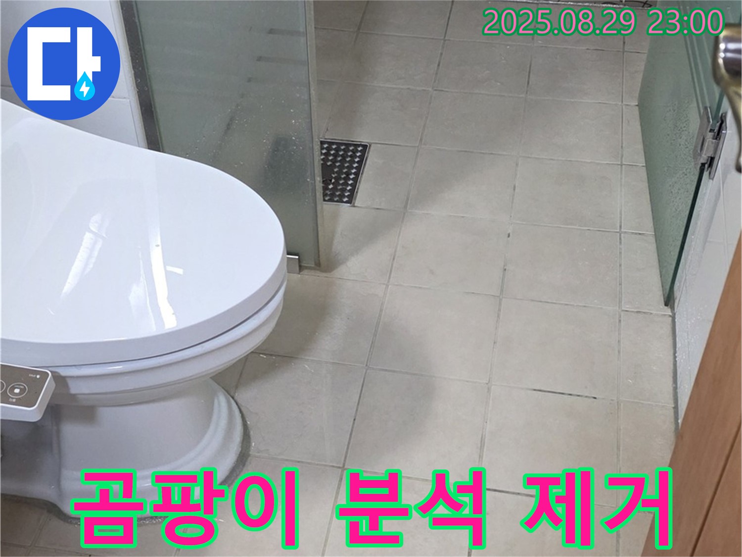 양주 백석 서광 변기 하부 타일 틈새 곰팡이 - 누수 원인 집중 분석 및 제거