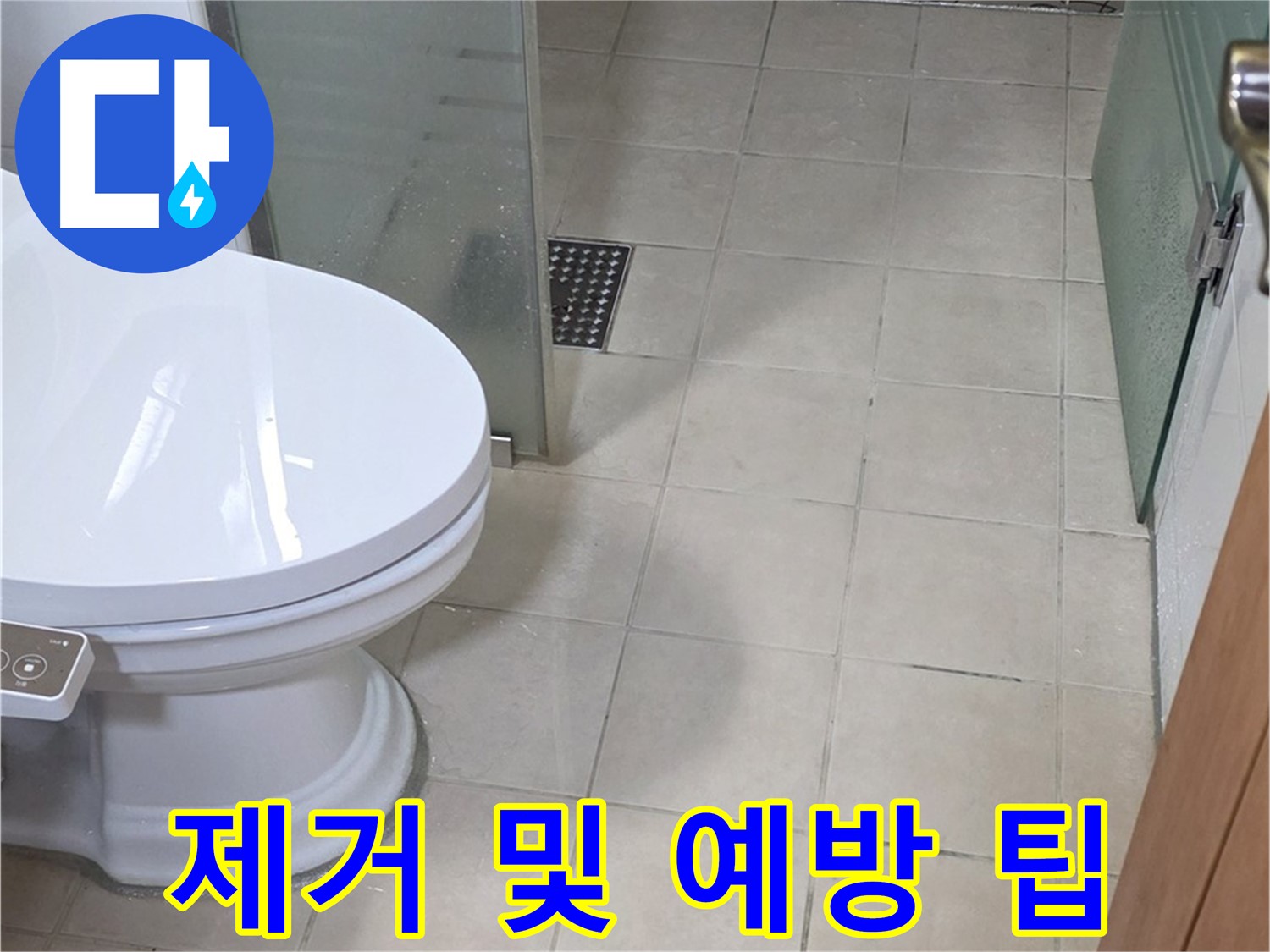 양주 백석 서광아침의빛아파트 - 곰팡이 제거 및 예방 꿀팁 공개