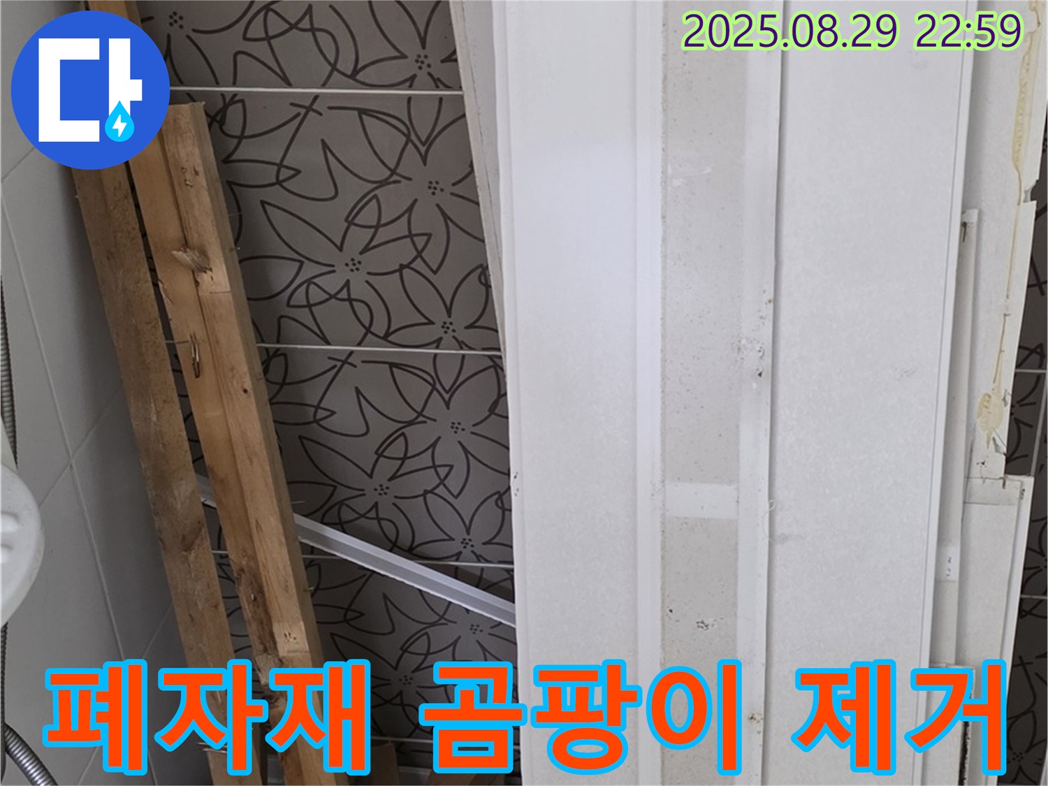 양주 백석 서광아침의빛아파트 누수 - 폐자재 속 곰팡이, 가족 건강을 위협하는 숨은 적! 꼼꼼하게 제거해야 합니다!
