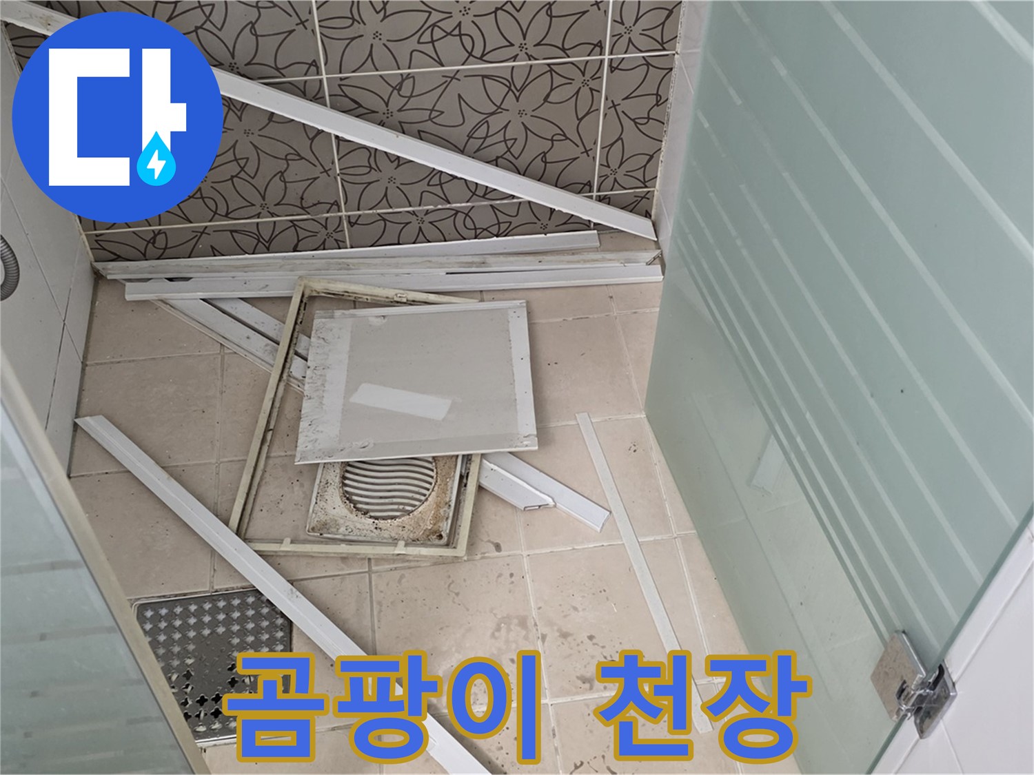 양주 백석 서광아파트 누수 - 욕실 천장재, 뜯어보니 곰팡이 천국
