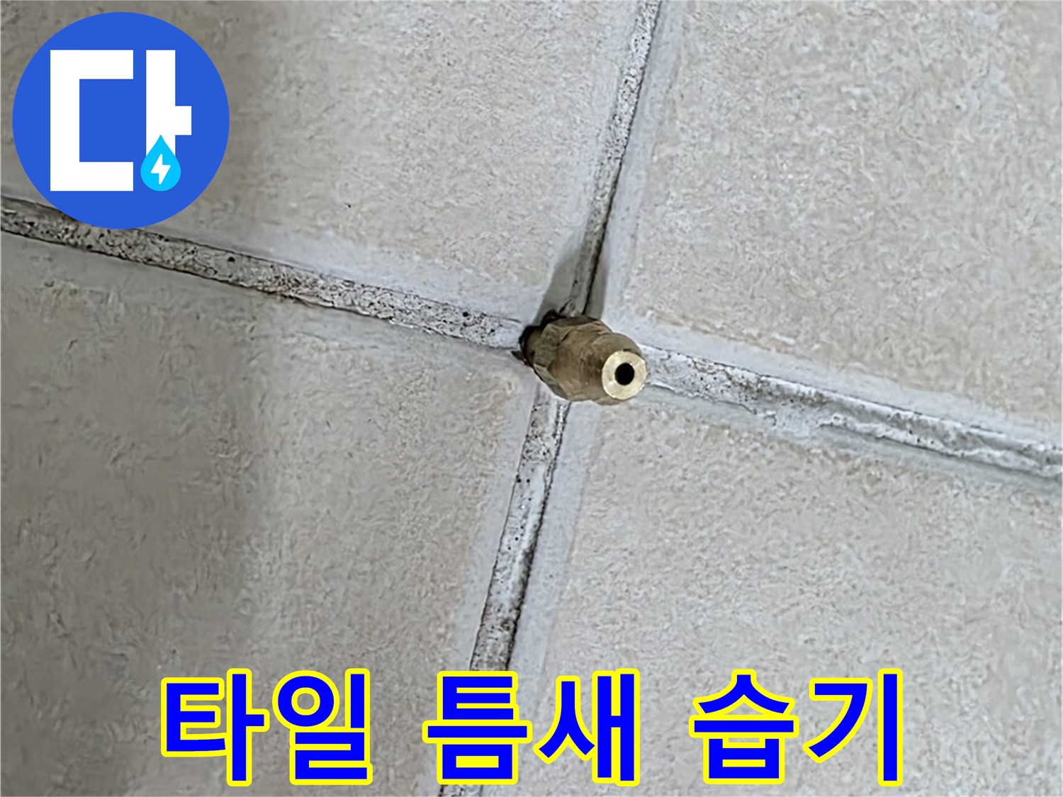 양주 백석 서광아파트 누수 - 타일 틈새의 습기는 누수의 초기 증상일 수 있습니다.