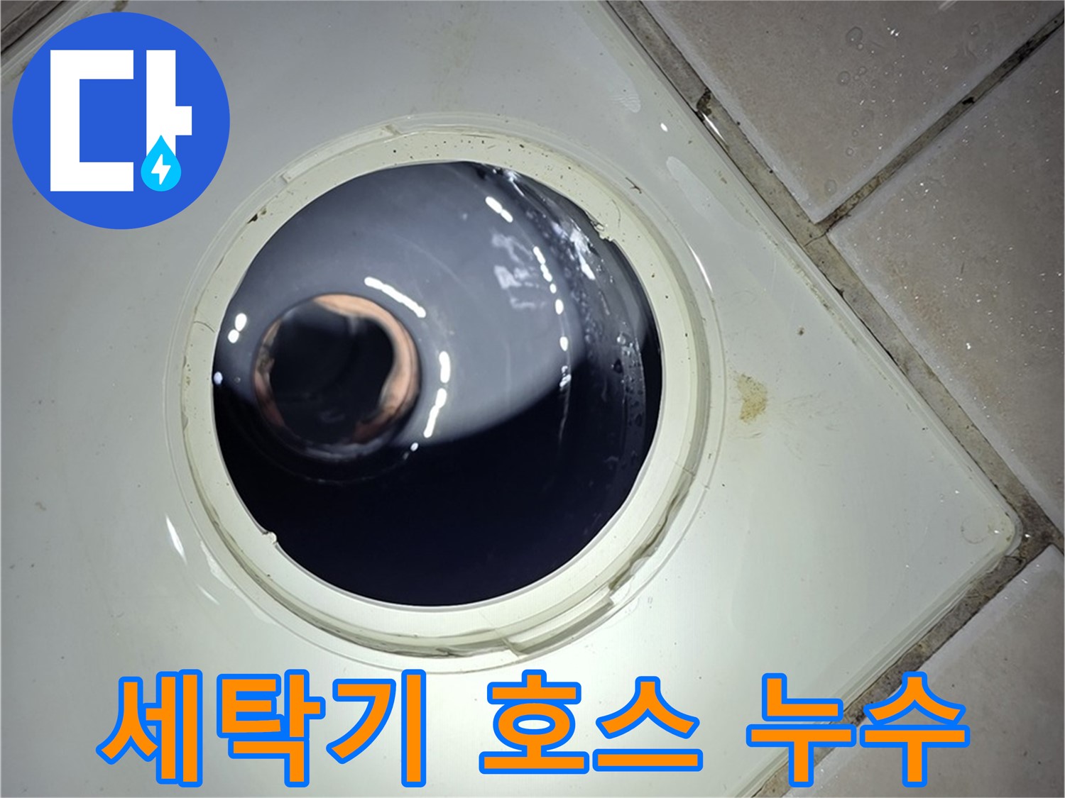 양주 백석 서광아파트 세탁기 호스 누수 - 새 호스 교체, 누수 해결
