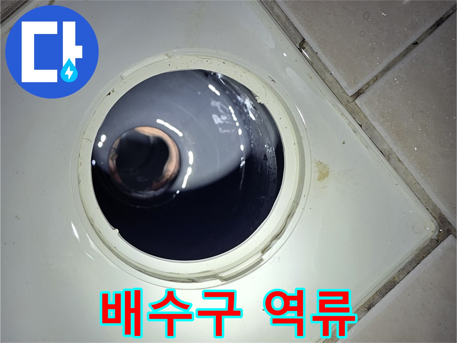 양주 백석 서광아파트 싱크대 배수구 역류 - 석션기로 강력 흡입