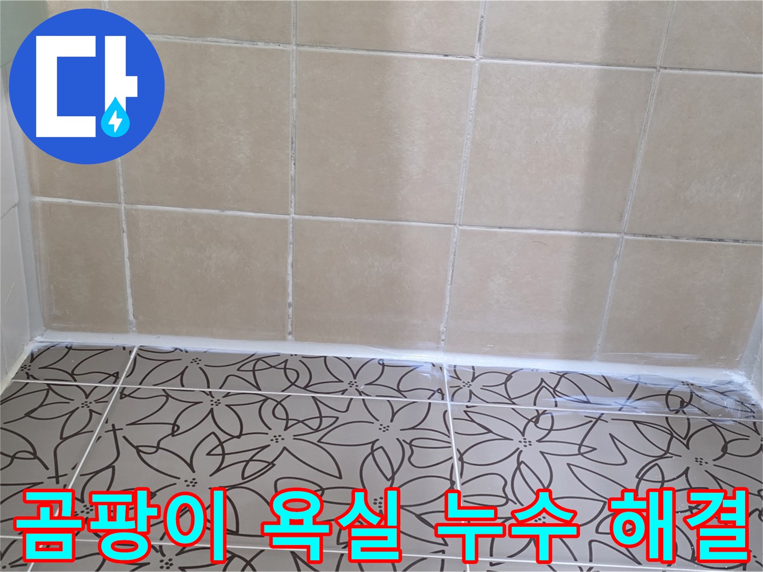 양주 백석 서광아파트 욕실 누수 - 곰팡이 문제와 누수 해결, 전문적인 기술력으로 완벽하게 해결
