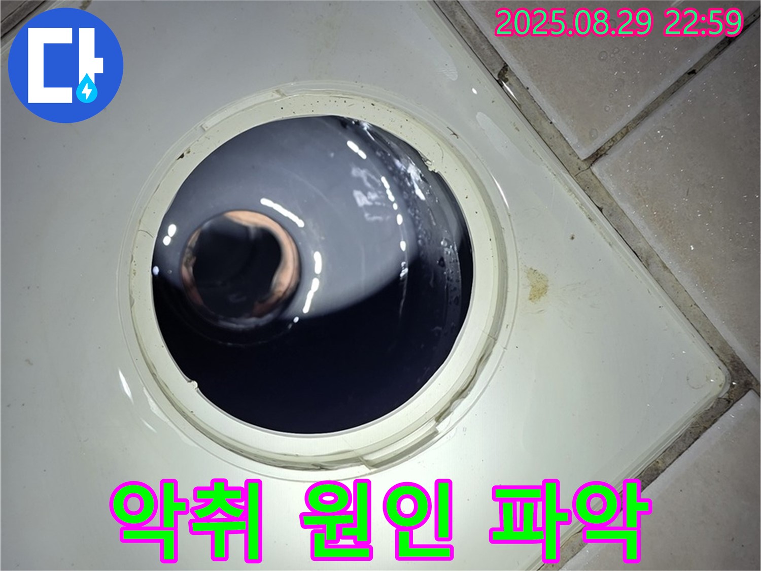 양주 백석 서광아파트 욕실 누수 - 배수구 주변에서 곰팡이가 피고 악취가 나는 원인을 파악하고 있습니다.