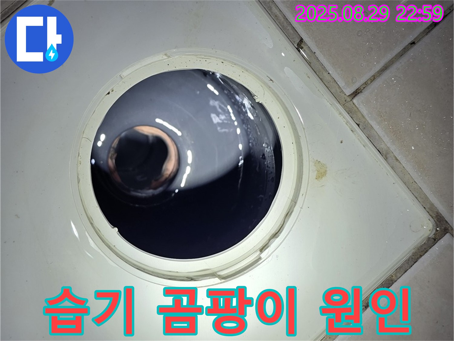 양주 백석 서광아파트 욕실 누수 - 하수구 주변의 습기와 곰팡이 발생 원인을 분석하여 누수와의 연관성을 파악합니다.