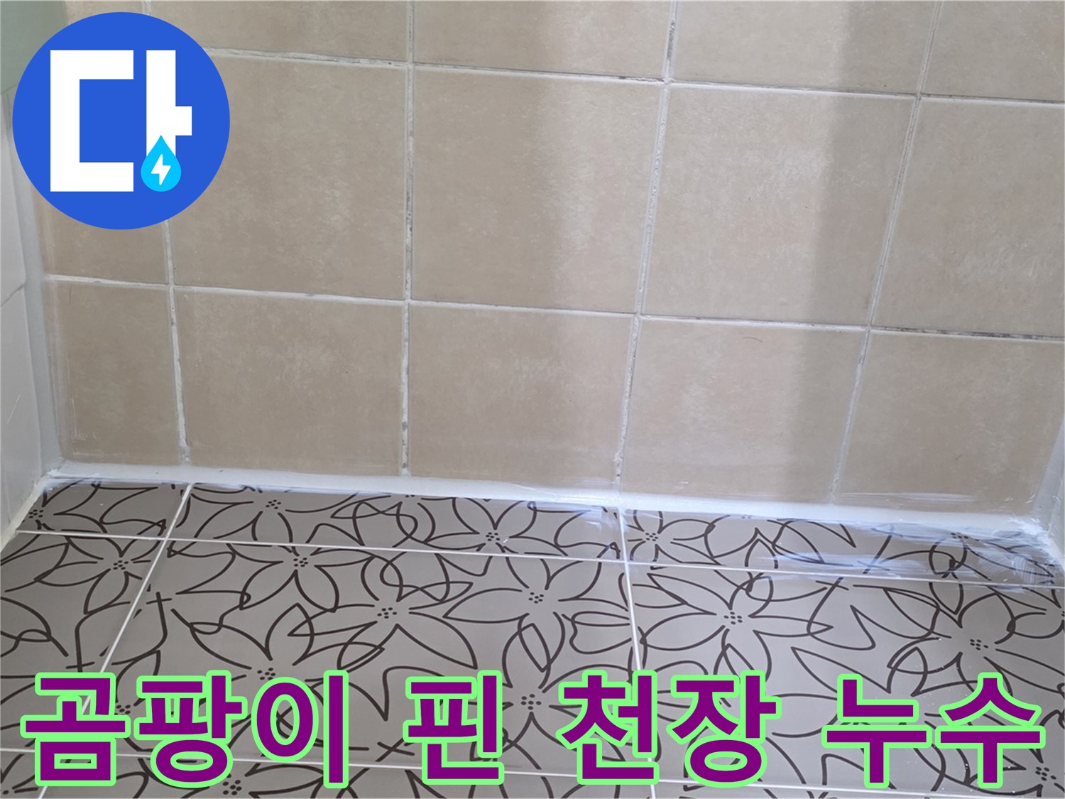 양주 백석 서광아파트 욕실 천장 누수 - 곰팡이 문제와 누수 해결, 쾌적한 욕실 환경으로 개선