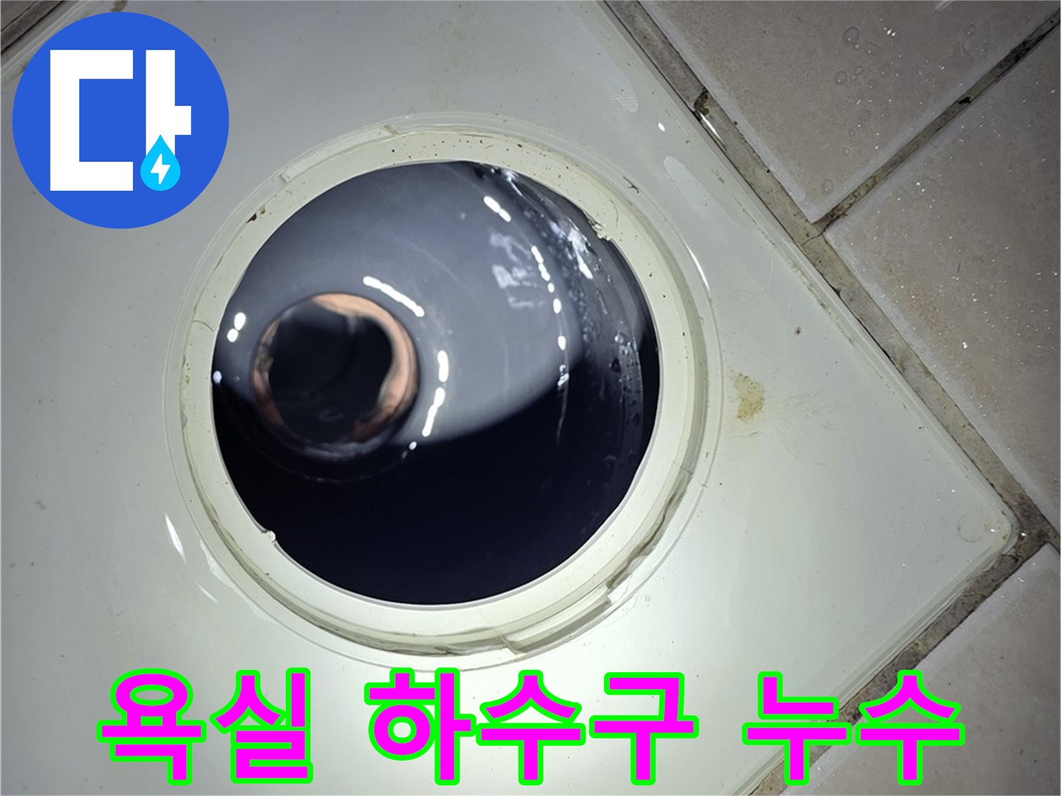 양주 백석 서광아파트 욕실 하수구 누수 - 악취 문제와 함께 해결