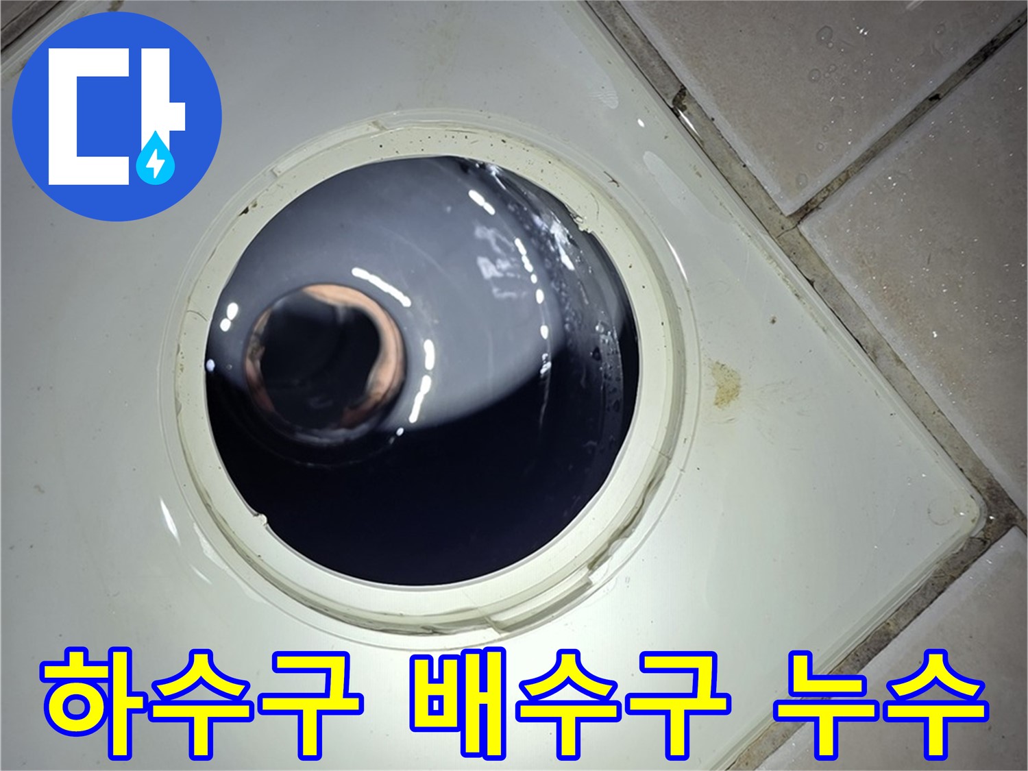 양주 백석 서광아파트 하수구 배수구 누수 - 전문적인 누수 탐지 및 보수 서비스