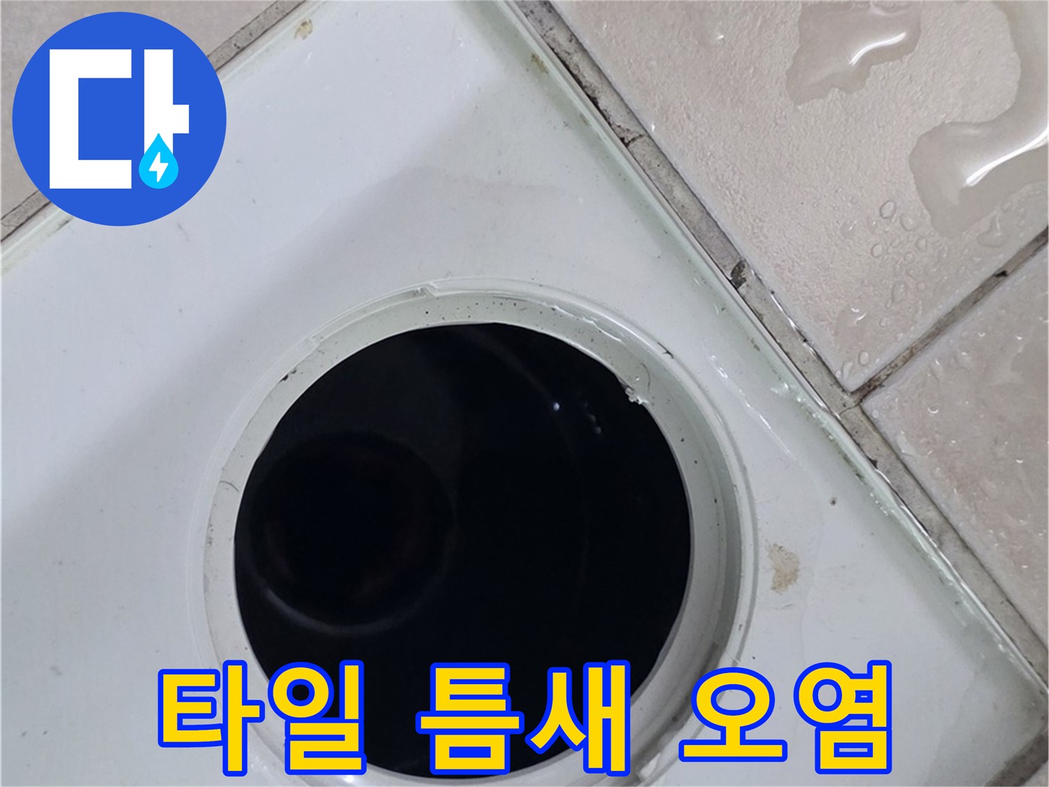 양주 서광아침의빛아파트 욕실 누수 - 배수구 주변 타일 틈새의 오염 상태를 확인합니다.