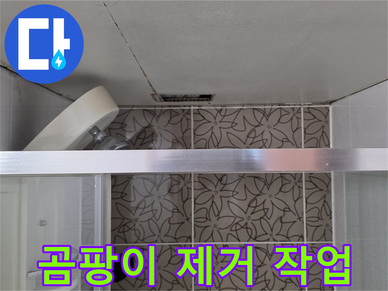 양주시 백석읍 서광아파트 천장 누수 - 환풍기 주변 곰팡이 제거 작업