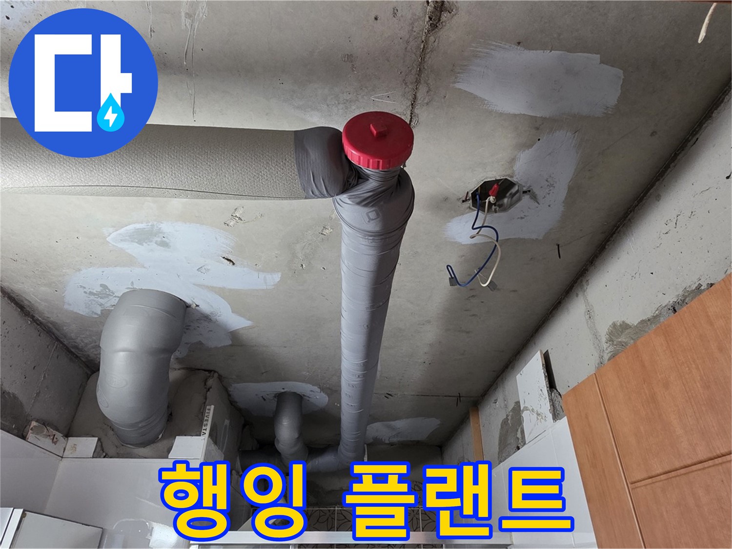 완벽하게 해결된 천장 누수, 배관 주변 공간 활용을 위한 행잉 플랜트 설치 아이디어 제공