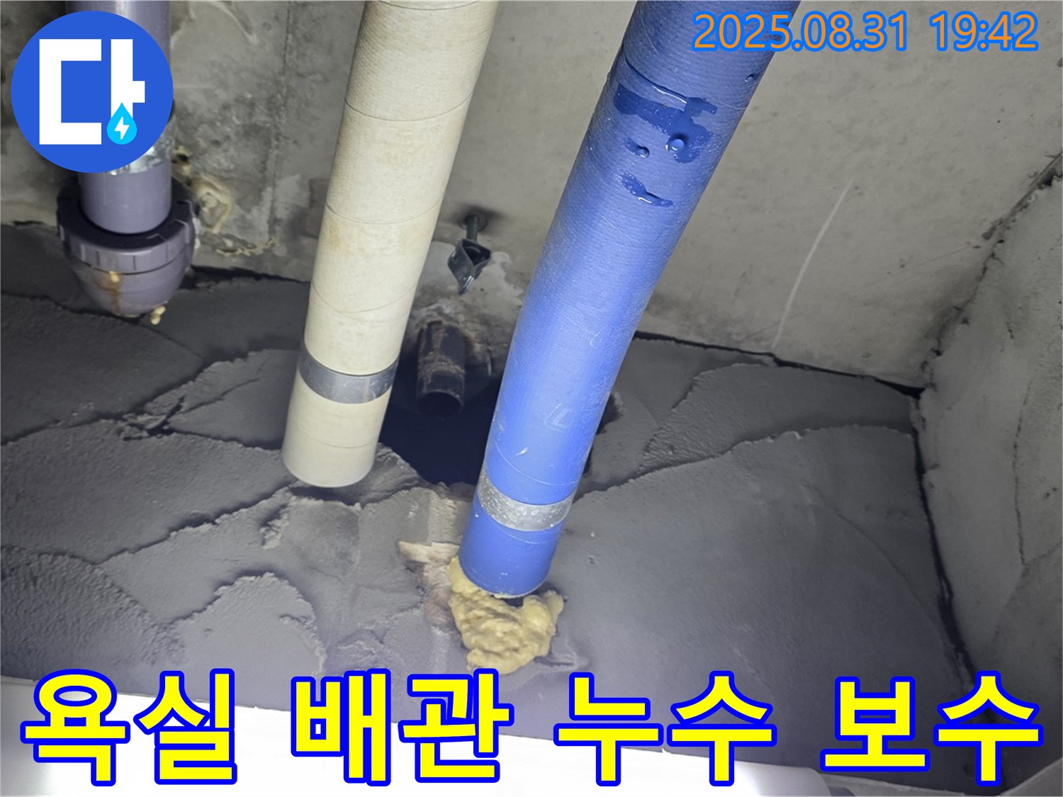 분당 운중동 산운로 주택 욕실 배관 누수 - 꼼꼼한 보수로 누수 해결 완료