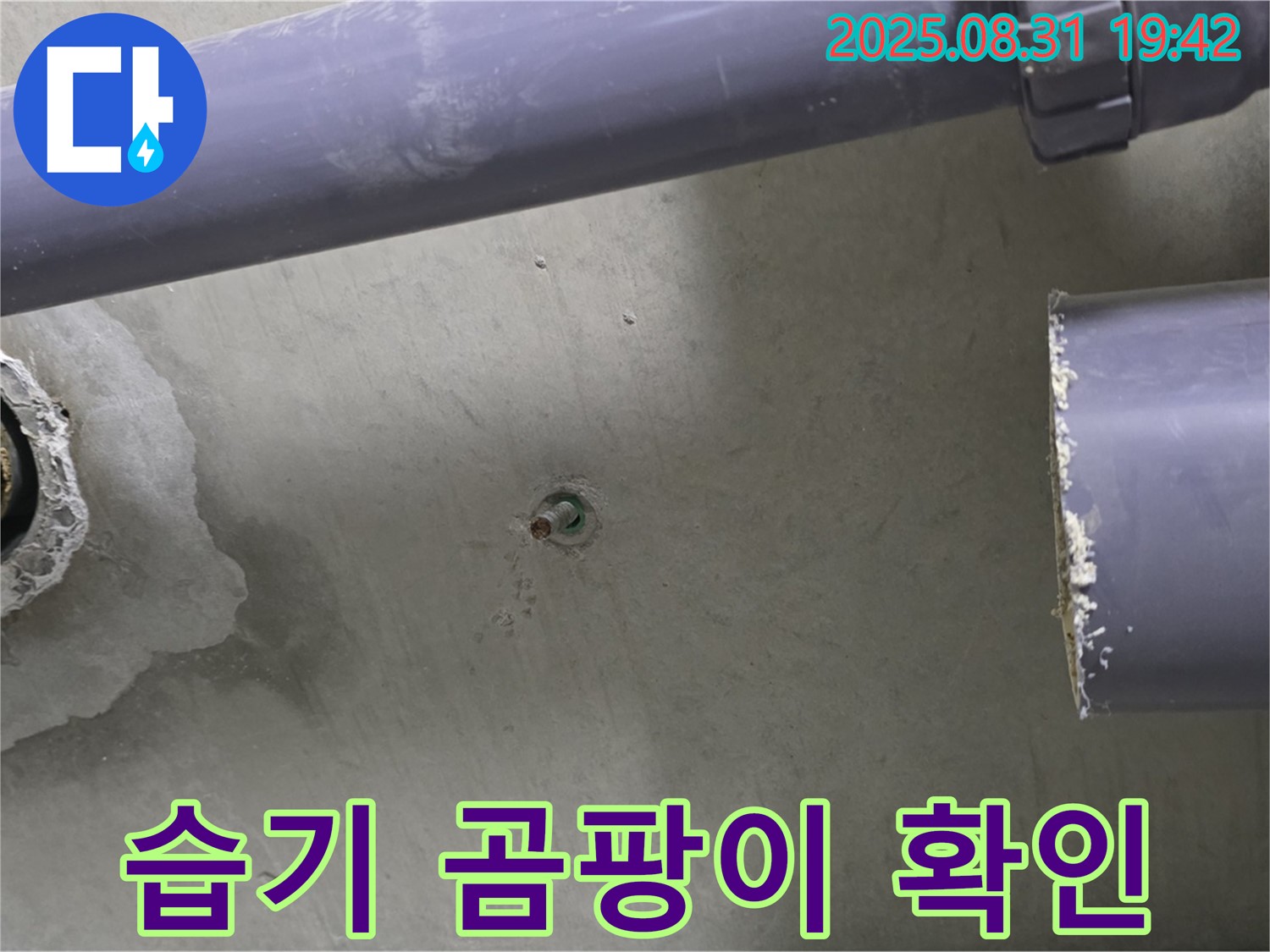 분당 운중동 산운마을 6단지 아파트 누수 - 누수 지점 주변의 습기 및 곰팡이 흔적을 확인하고 있습니다.
