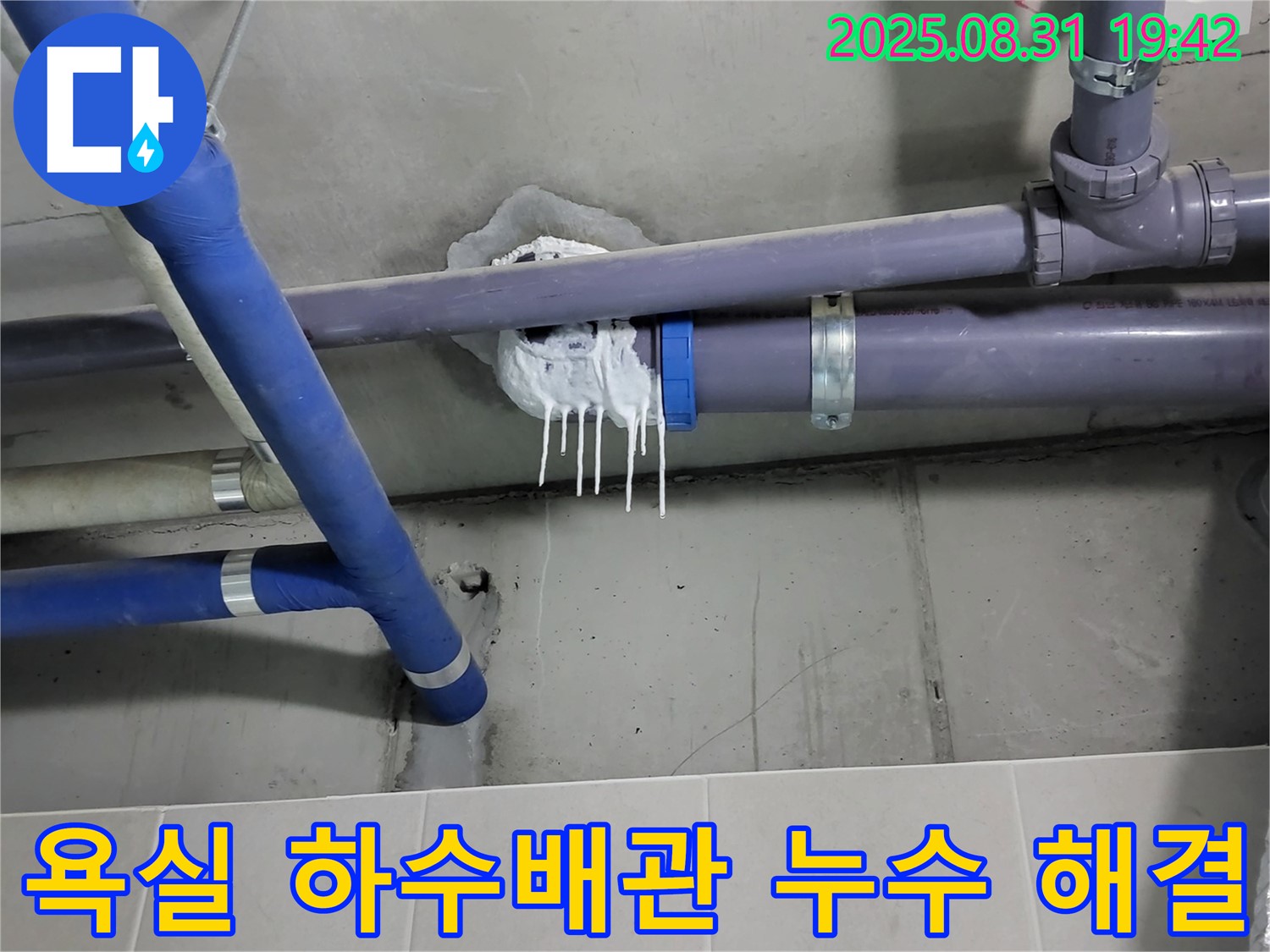 분당 운중동 산운마을 6단지 아파트 욕실 하수배관 누수 - 완벽 해결 후 고객 만족