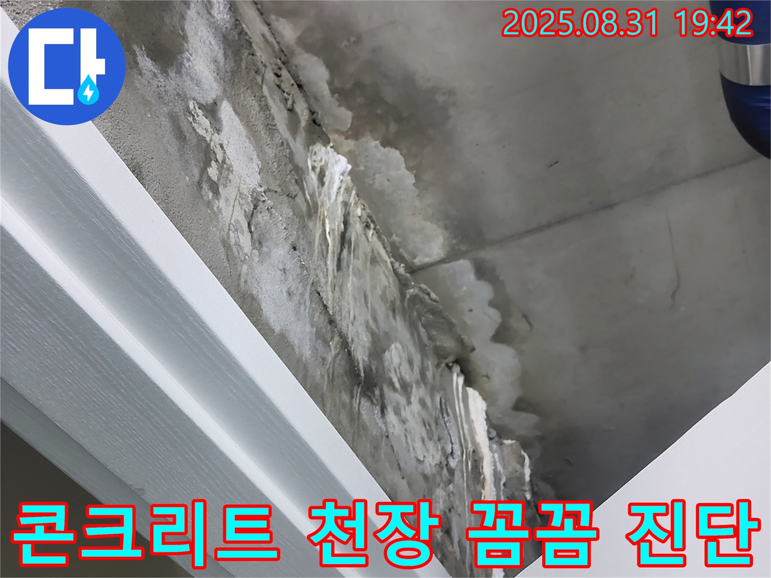 분당 운중동 산운마을 6단지 콘크리트 천장 누수 - 분당 누수 전문가의 꼼꼼한 진단!