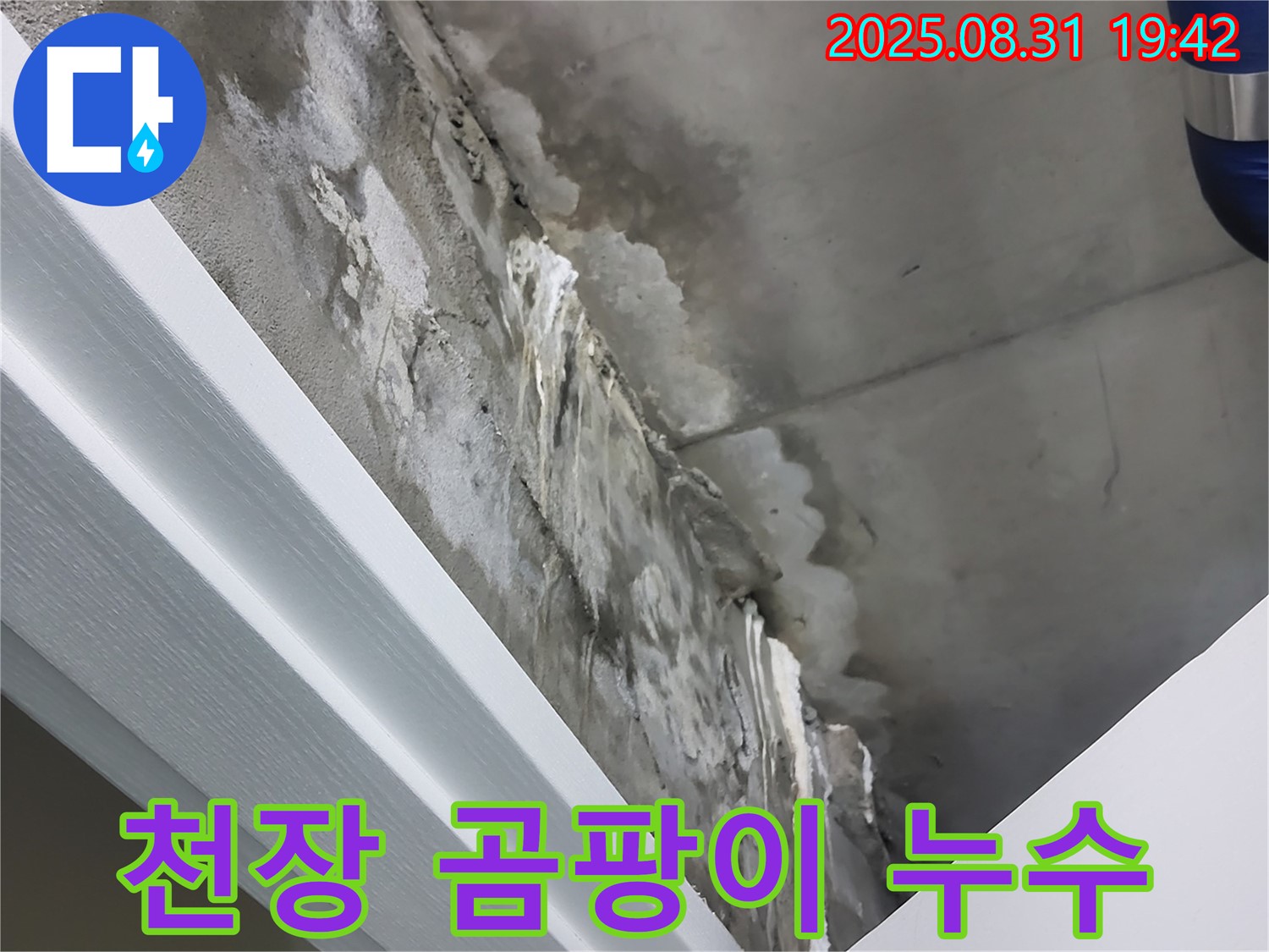 분당 운중동 산운마을 천장 곰팡이 누수 - 원인 제거와 곰팡이 완벽 제거!