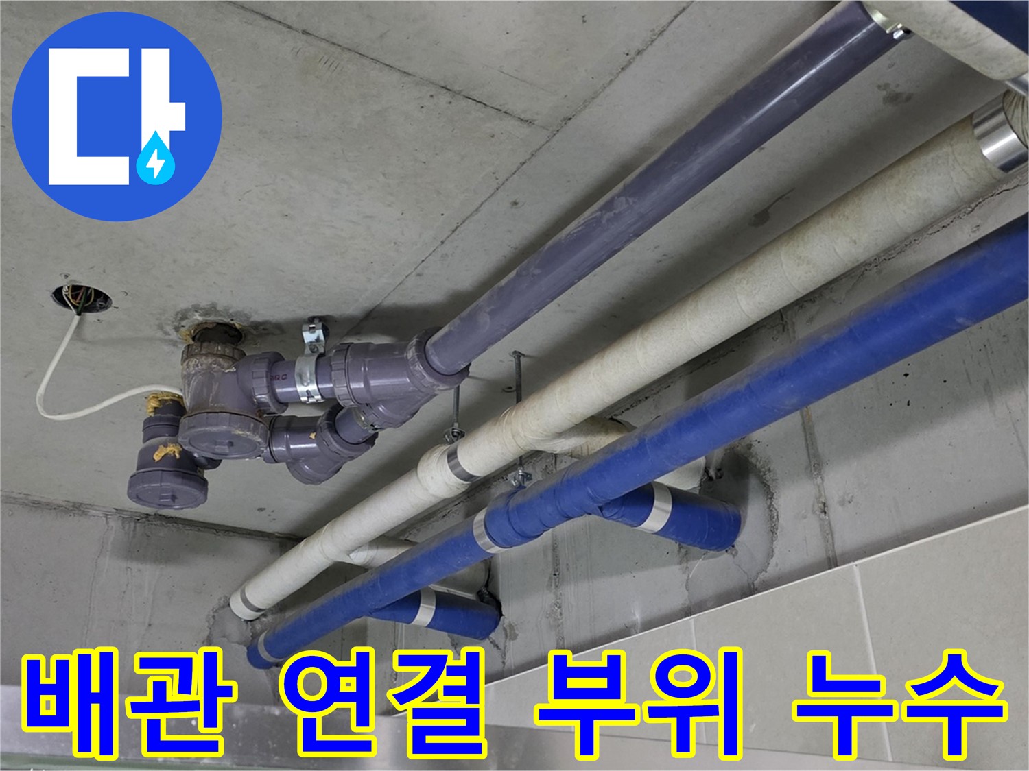 분당 운중동 상가 배관 연결 부위 누수 - 정확한 위치 파악 및 보수