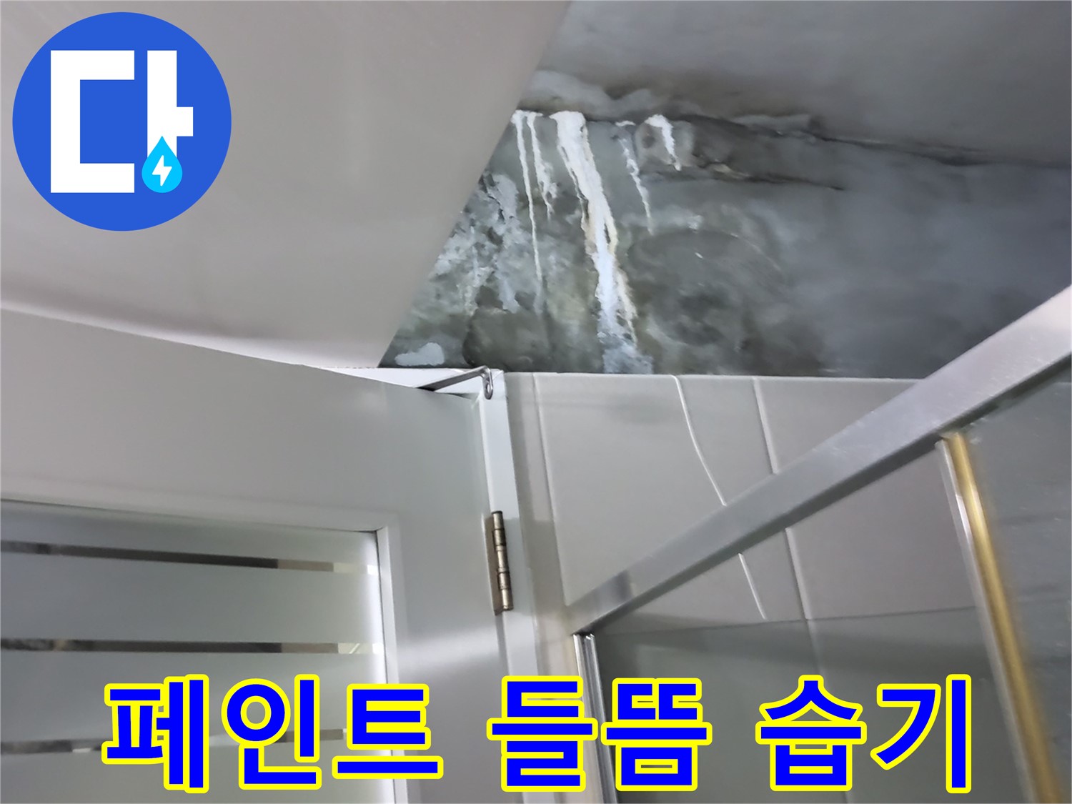 분당 운중동 샤워부스 주변 벽면의 심한 페인트 들뜸과 습기 집중 측정 - 누수 원인 분석