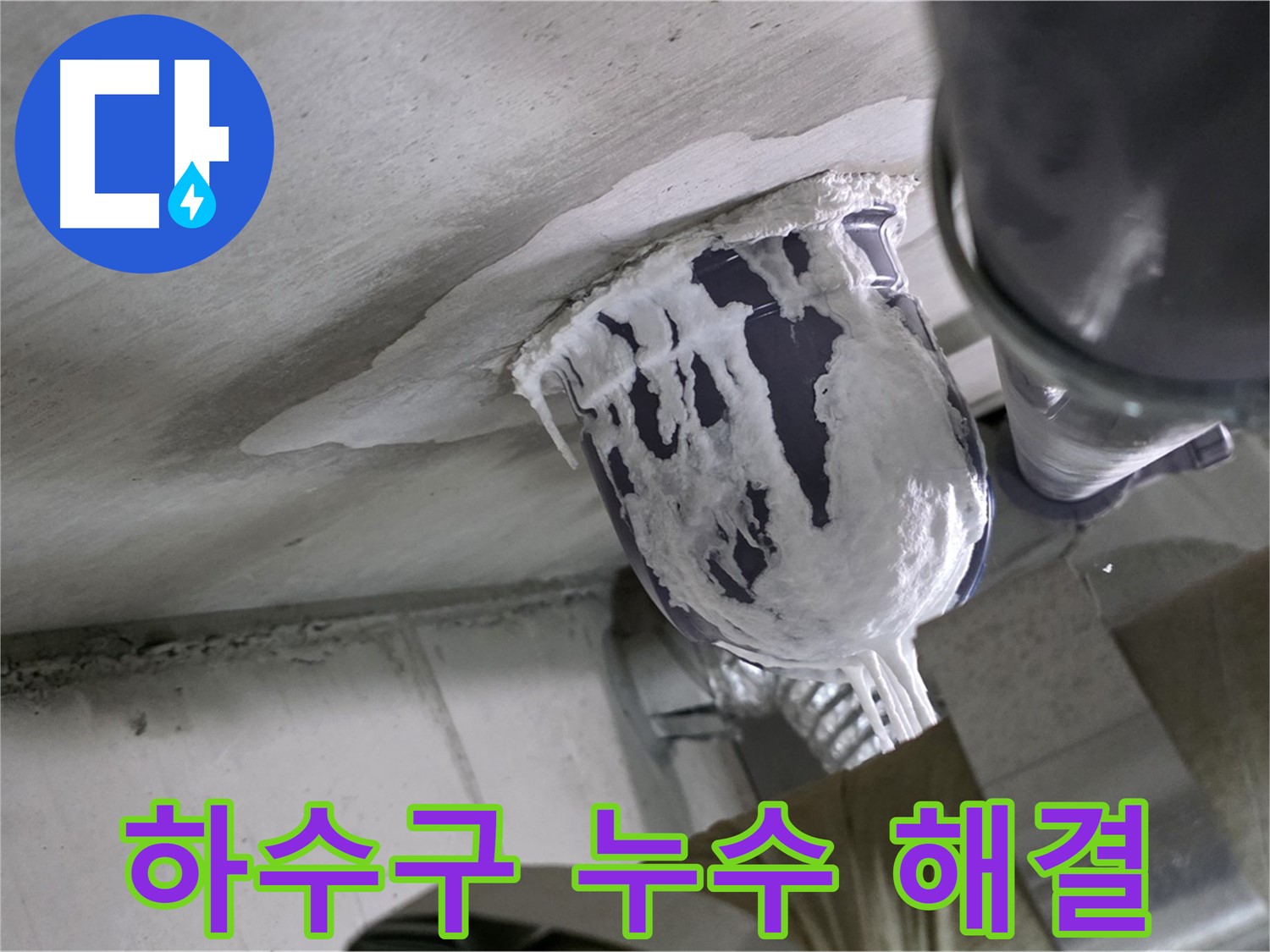 분당 운중동 아파트 누수 - 하수구 누수 문제, 완벽하게 해결했습니다