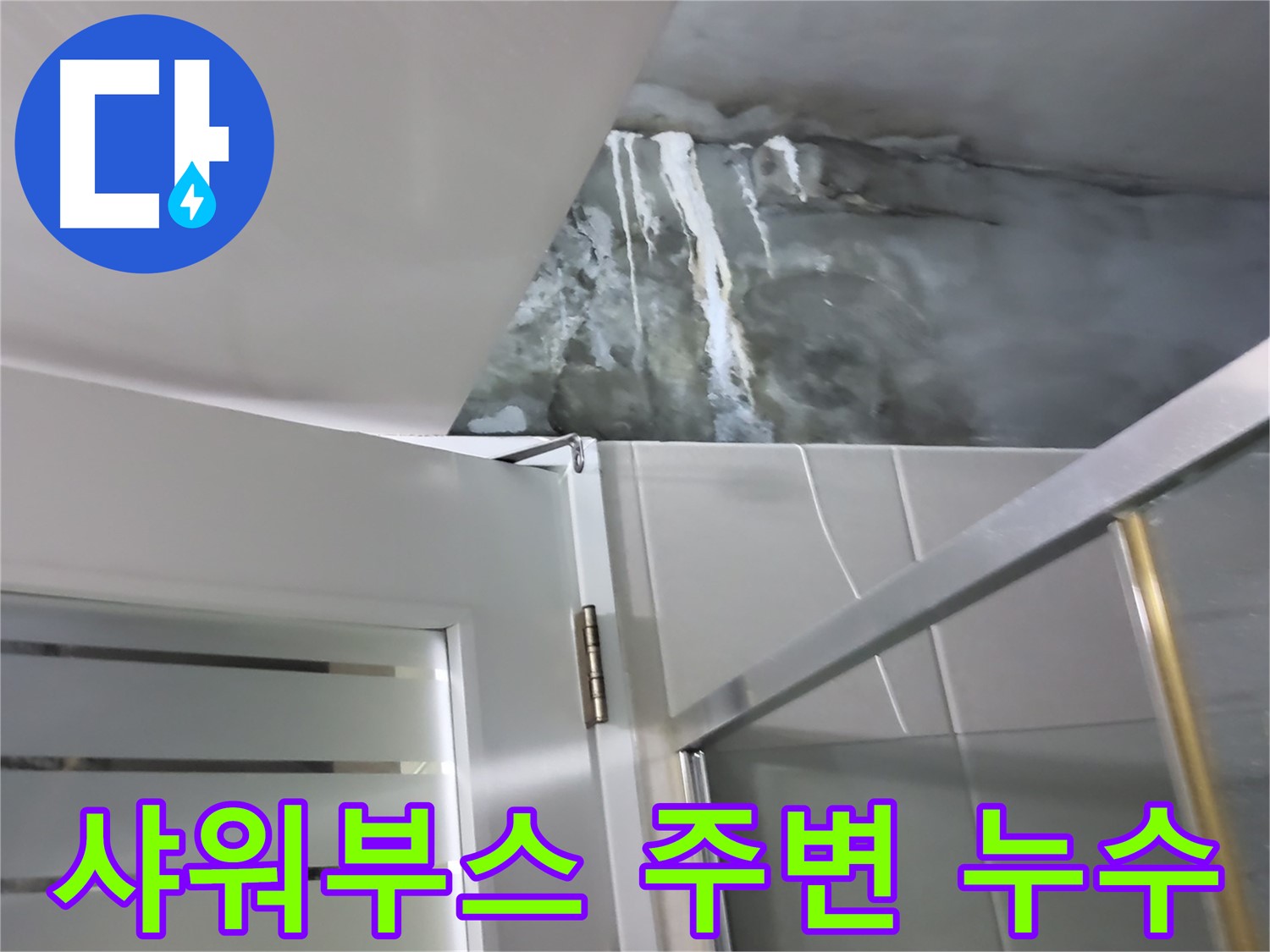 분당 운중동 아파트 욕실 샤워부스 주변 누수 발생 - 전문 누수 탐지 및 해결 과정