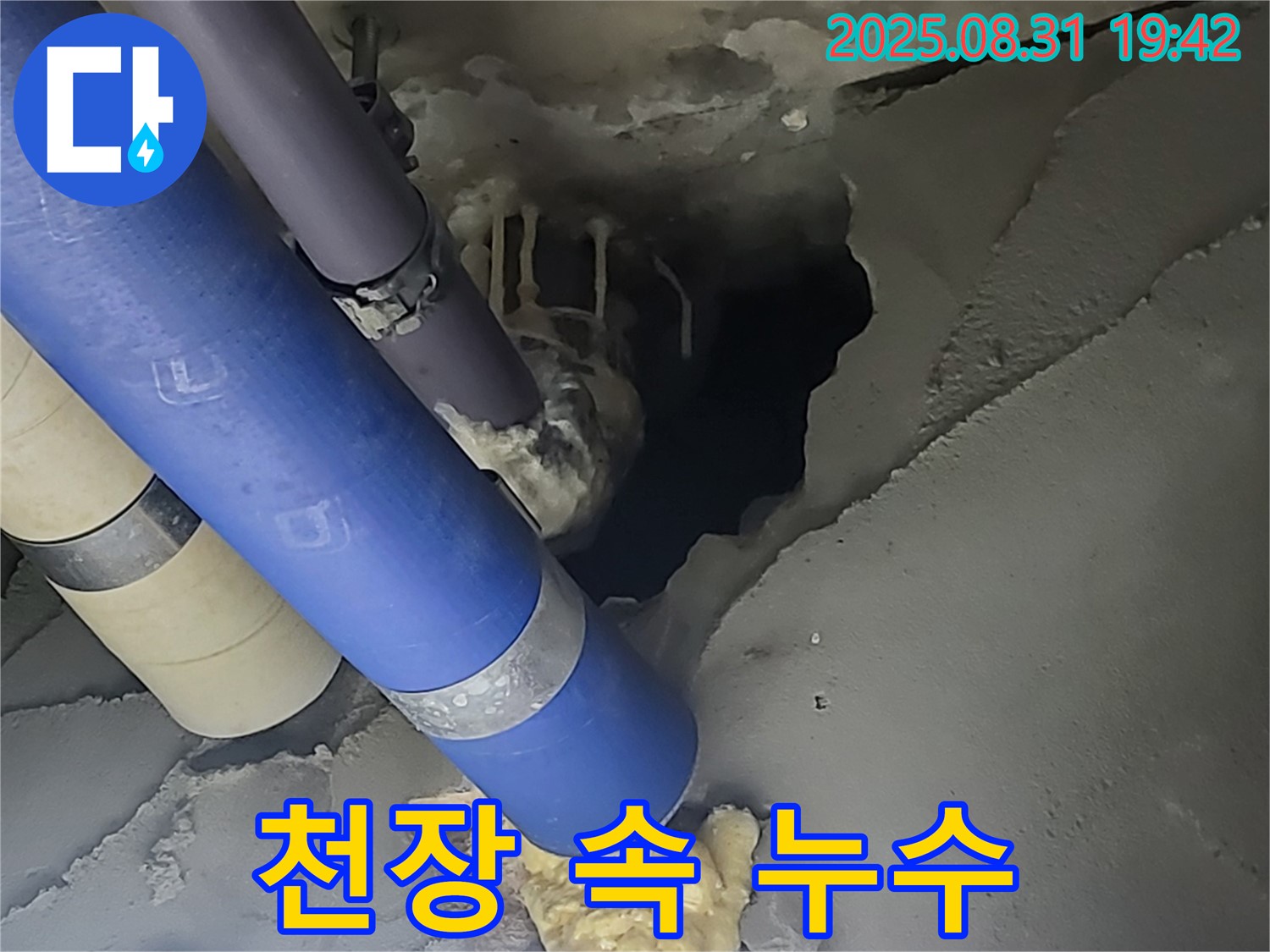 분당 운중동 - 옛주소 백현동 산운마을 6단지 아파트 누수 - 천장 속에서 배관 누수 흔적을 발견했습니다 - 꼼꼼히 살펴봐야겠어요.