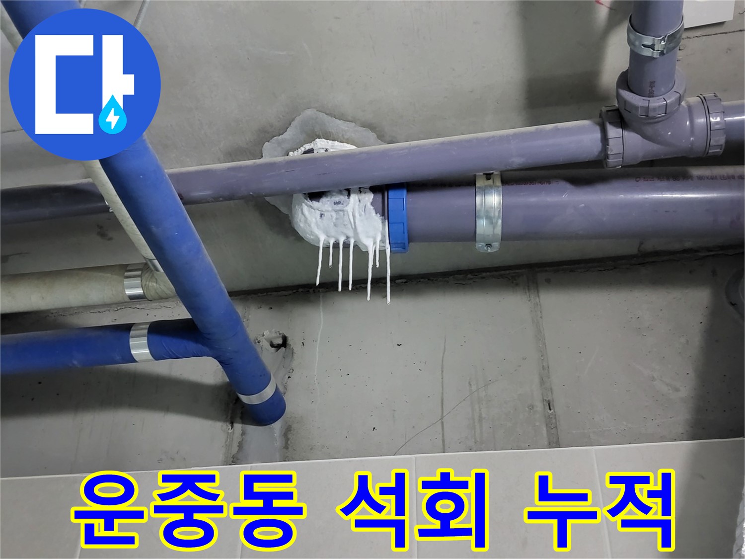 분당구 운중동 하수 누수 - 벽 젖은 흔적과 석회 침전물 누적