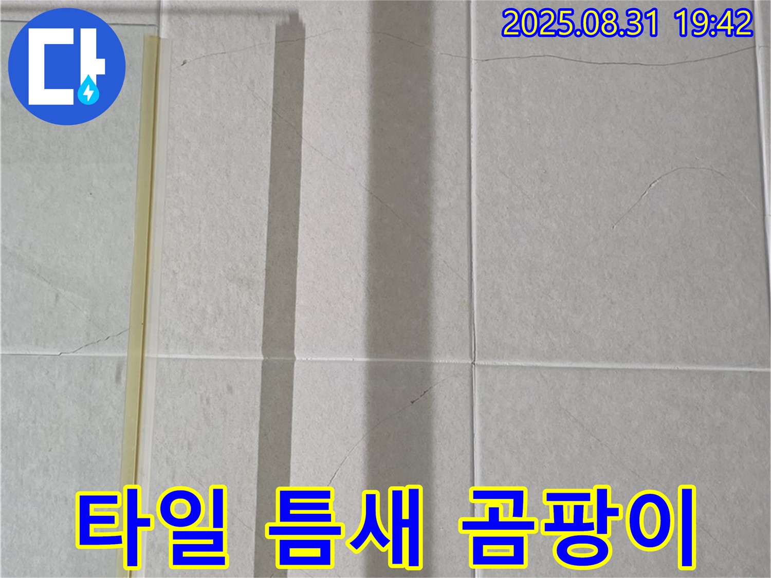 샤워기 옆 타일 틈새 - 곰팡이 완전 소탕 작전 개시!