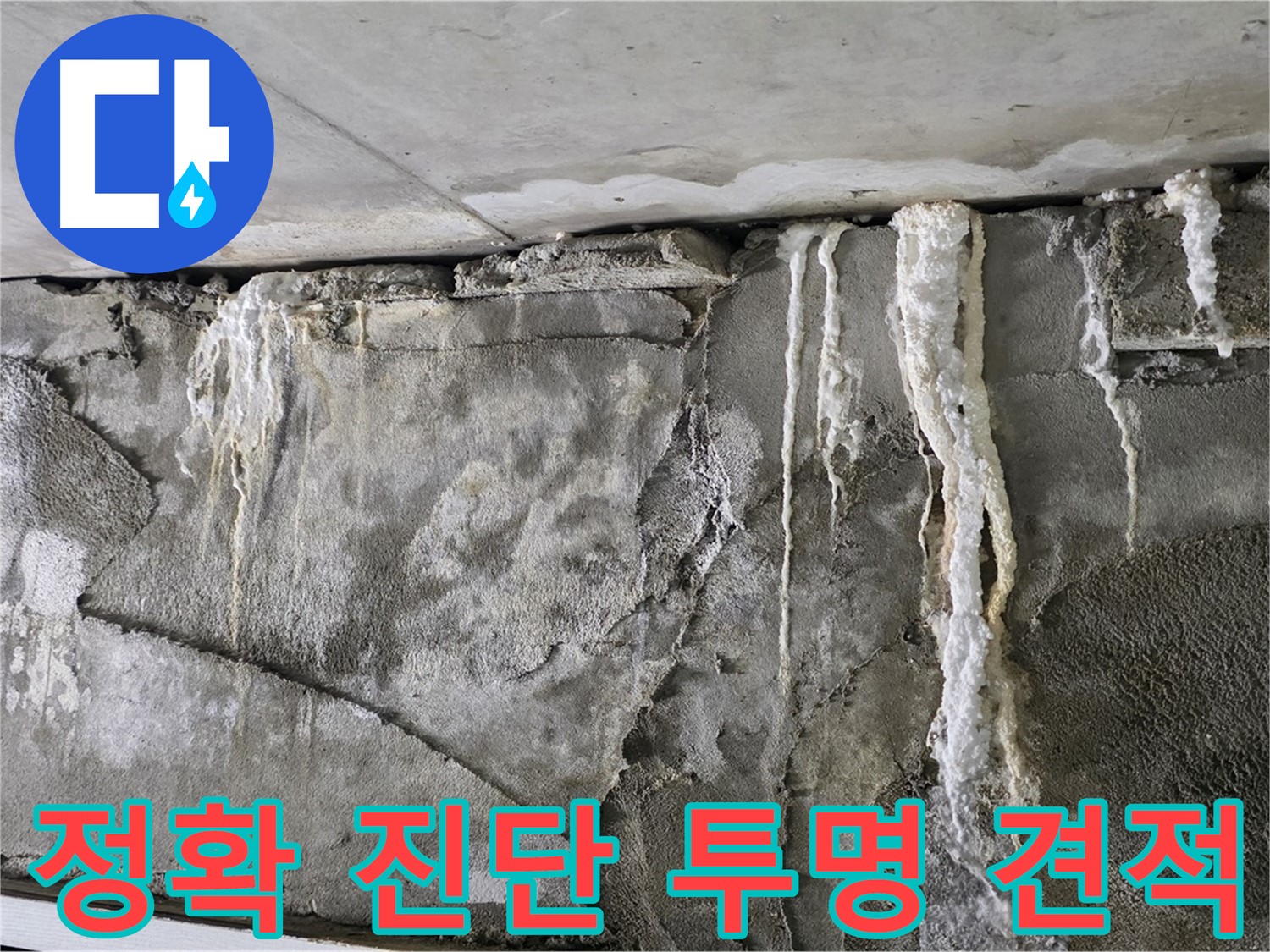 성남 누수 탐지 - 정확한 진단과 투명한 견적, 고객 만족도 최상