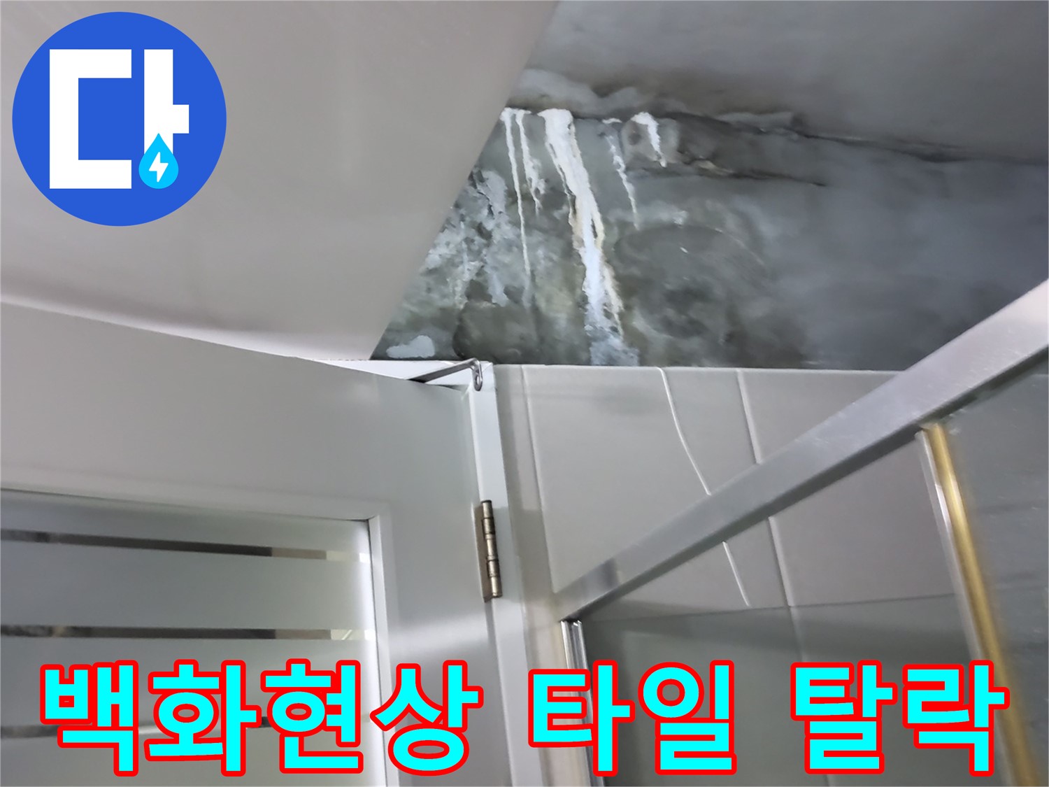 성남 분당 샤워부스 벽면의 심한 백화현상과 타일 탈락 정밀 점검 - 누수 가능성 확인