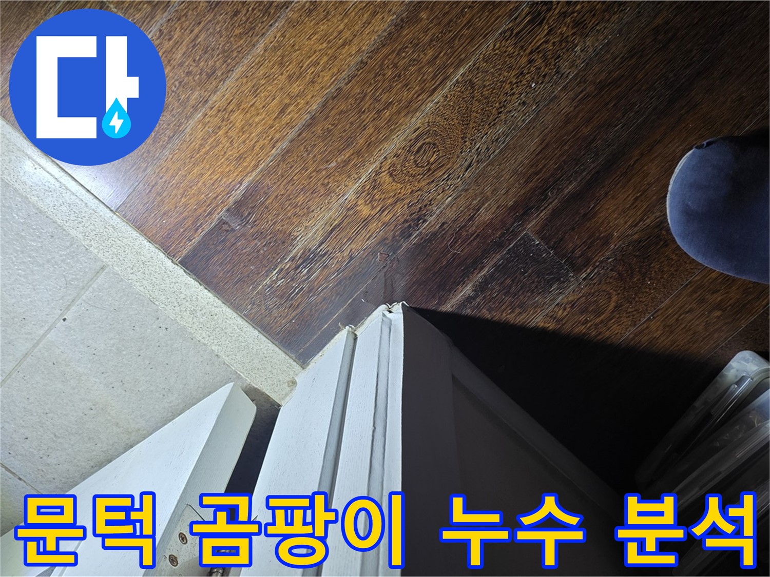 성남 분당 아파트 누수 - 운중동 산운로 문턱 주변 곰팡이와 누수 연관성 집중 분석
