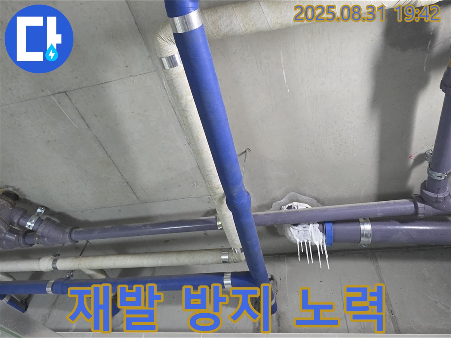성남 분당 운중동 누수 - 꼼꼼한 점검으로 누수 재발을 방지합니다