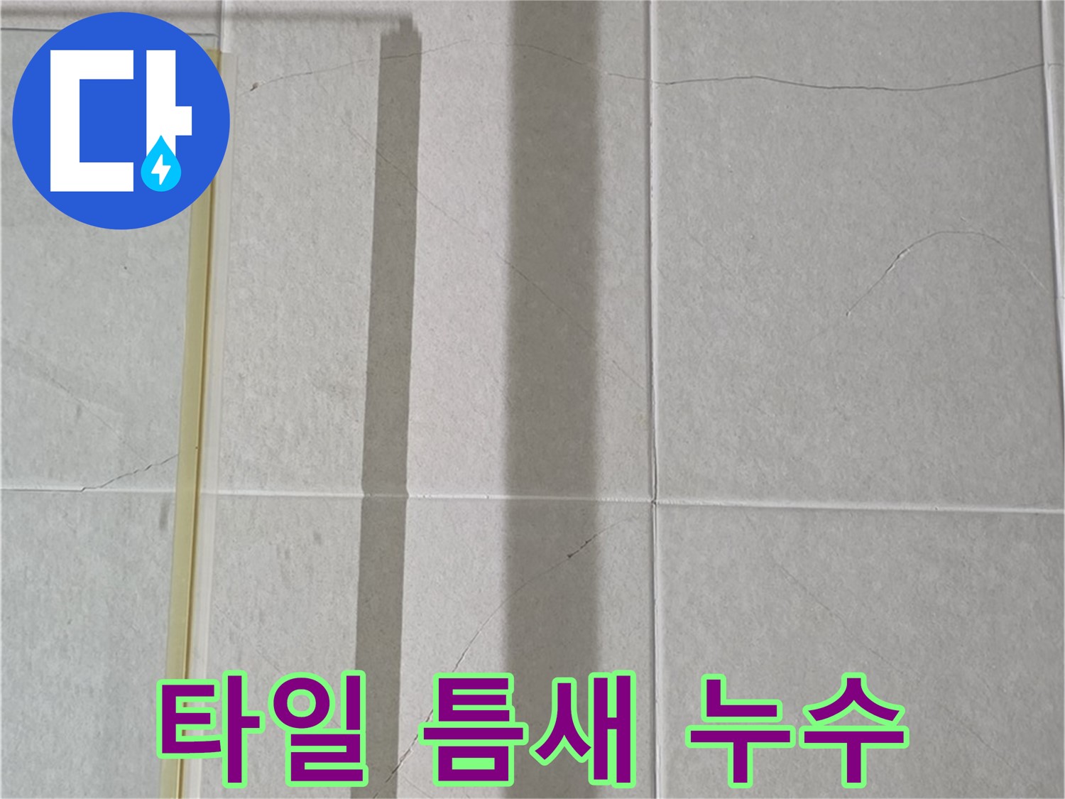 성남시 분당 샤워기 누수 - 벽 타일 틈새로 물 스며듦 주의