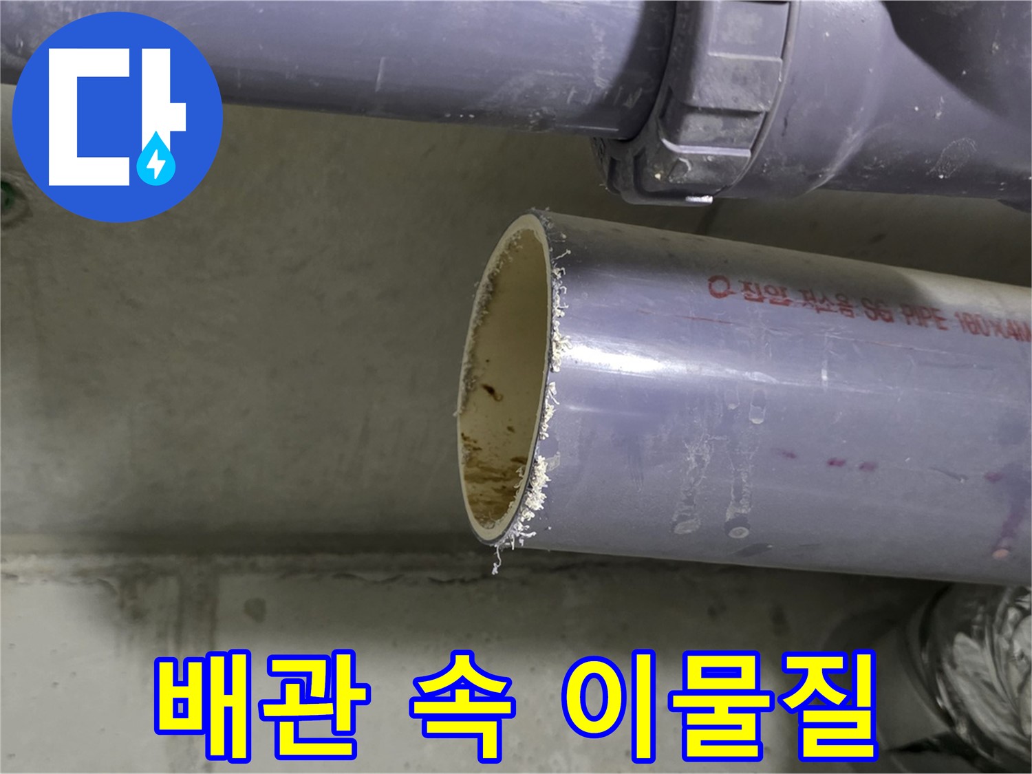 성남시 분당구 누수 현장 - 배관 속에서 나온 이물질을 보여주는 사진 - 누수의 숨겨진 원인을 드러냅니다.