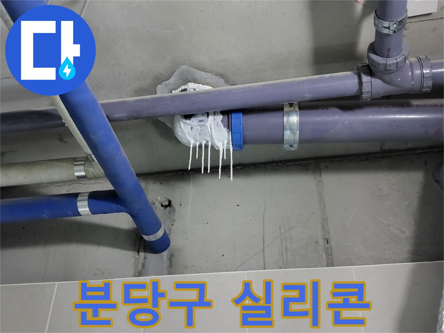 성남시 분당구 하수 누수 - 배관 연결 부위 실리콘 변색